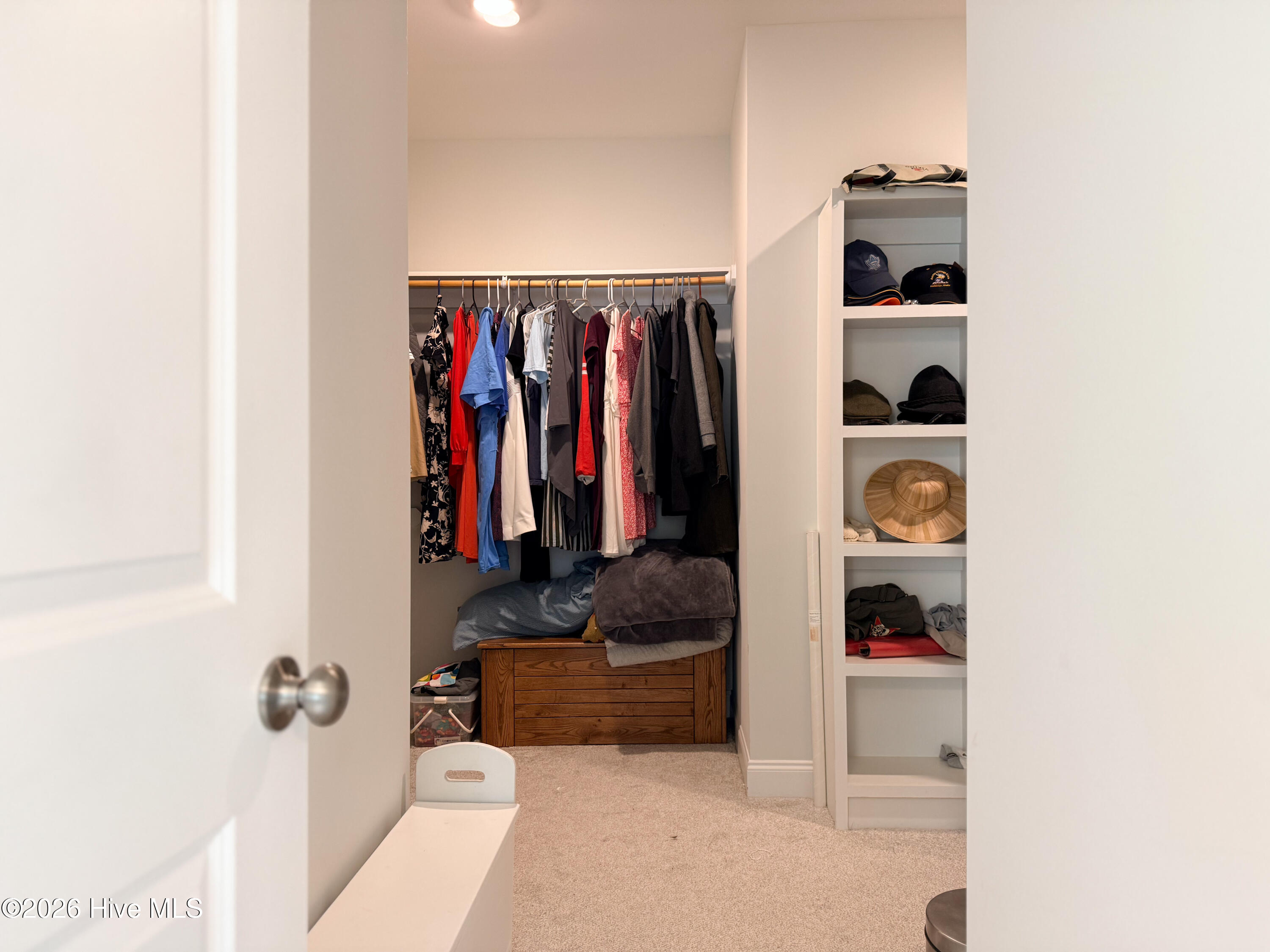 100567915 | Photo 39