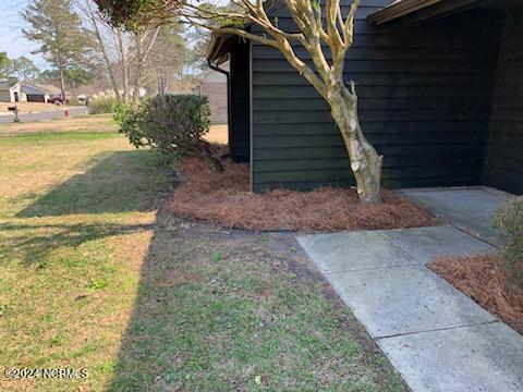 100528629 | Photo 42