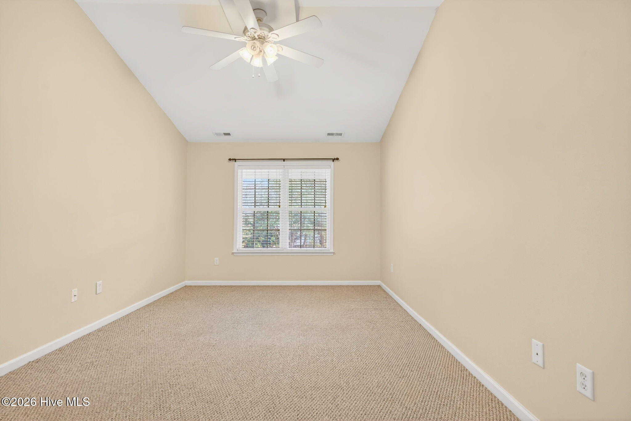 100558532 | Photo 29