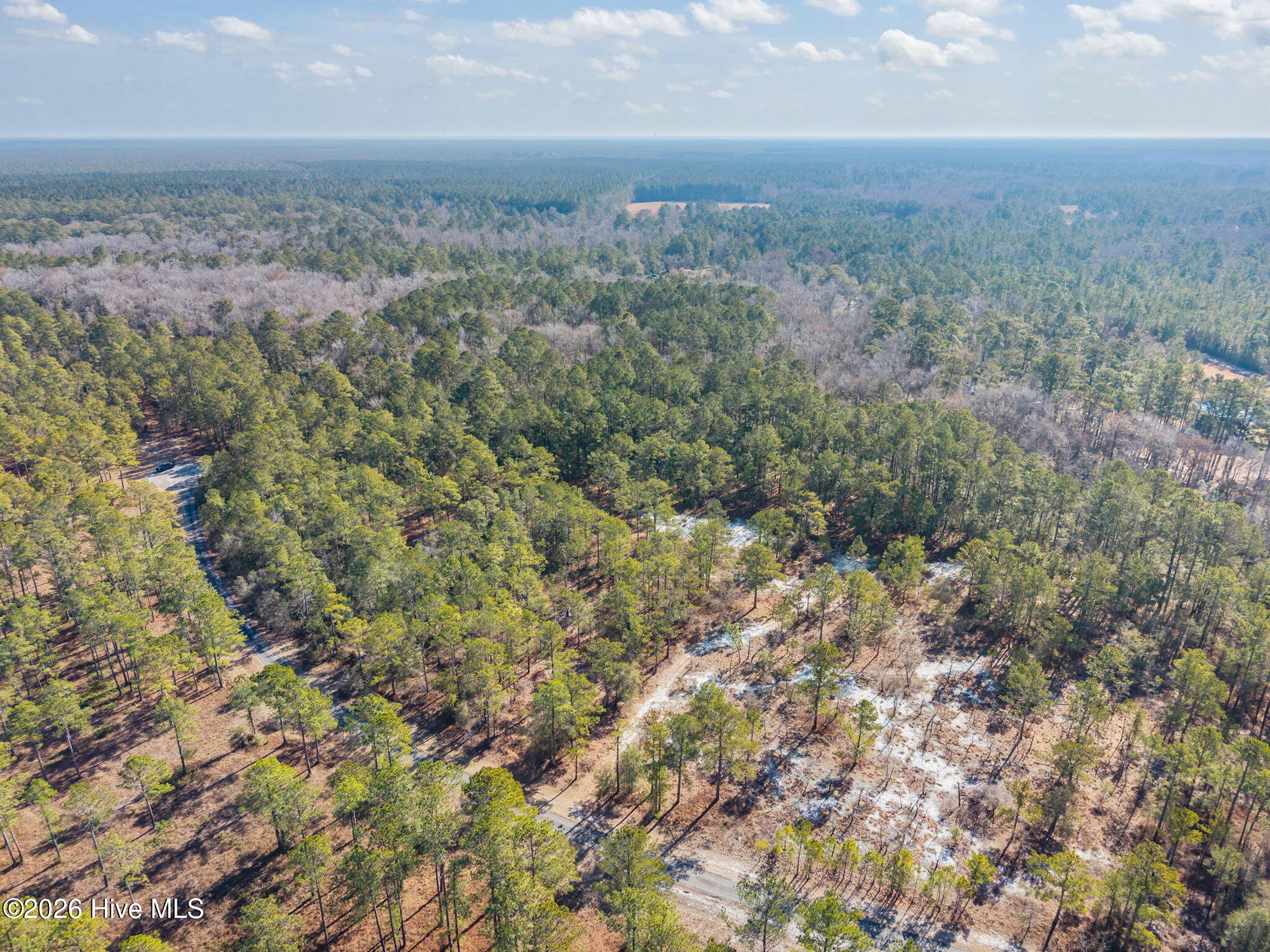 100554488 | Photo 12