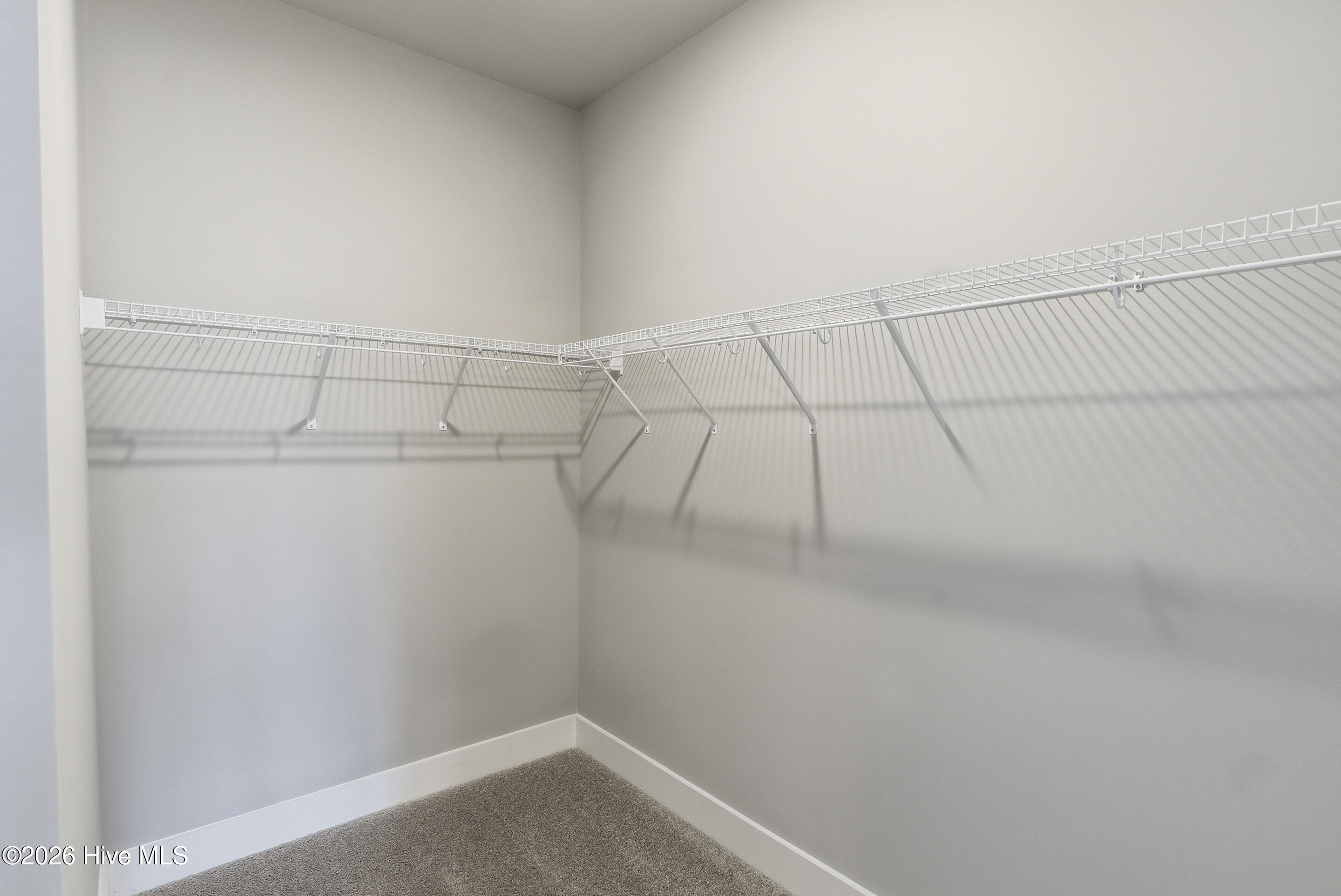 100547576 | Photo 17