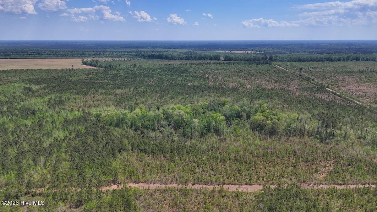 0 Guinea Mill Road, Ernul, NC, 28527