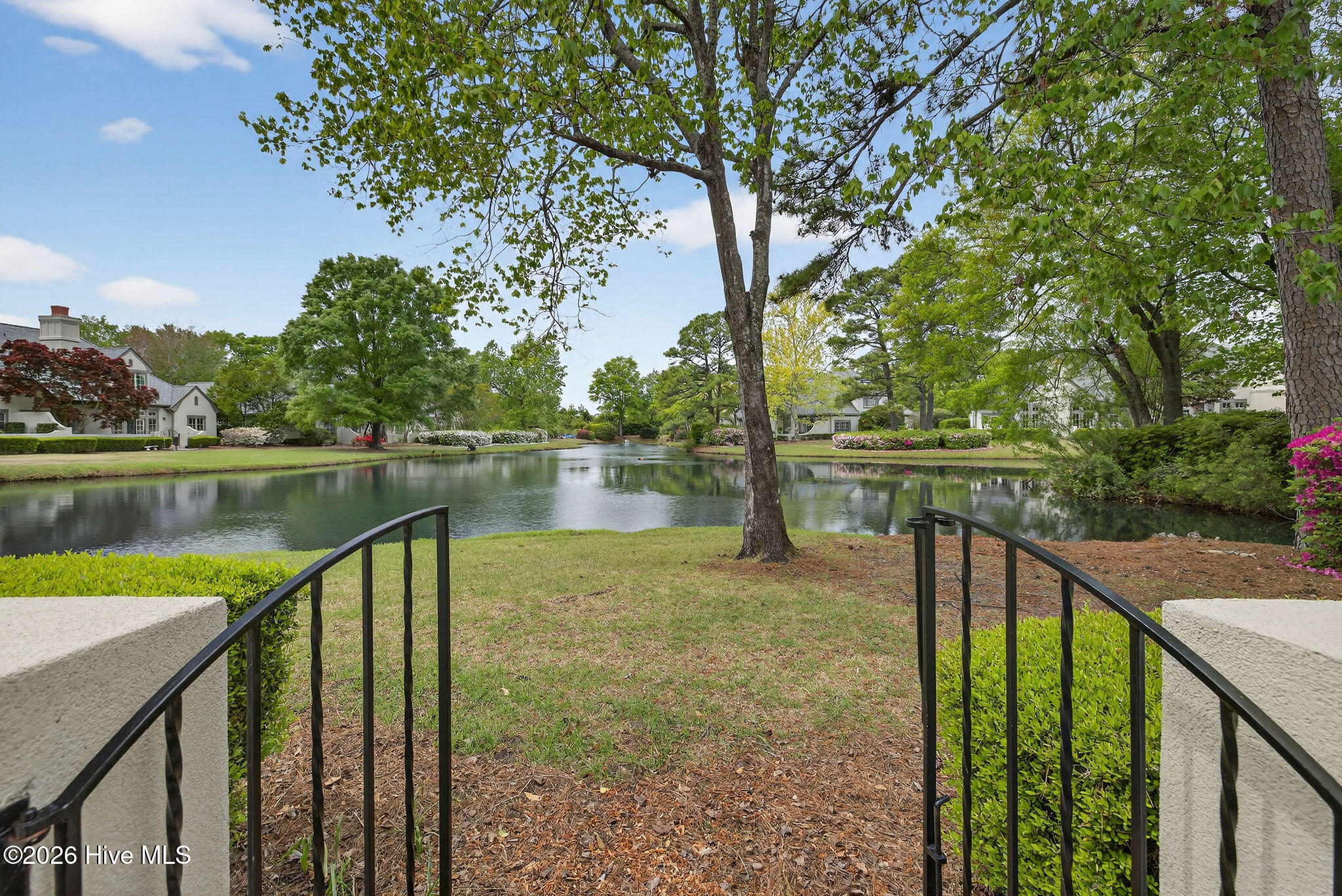 100565960 | Photo 16