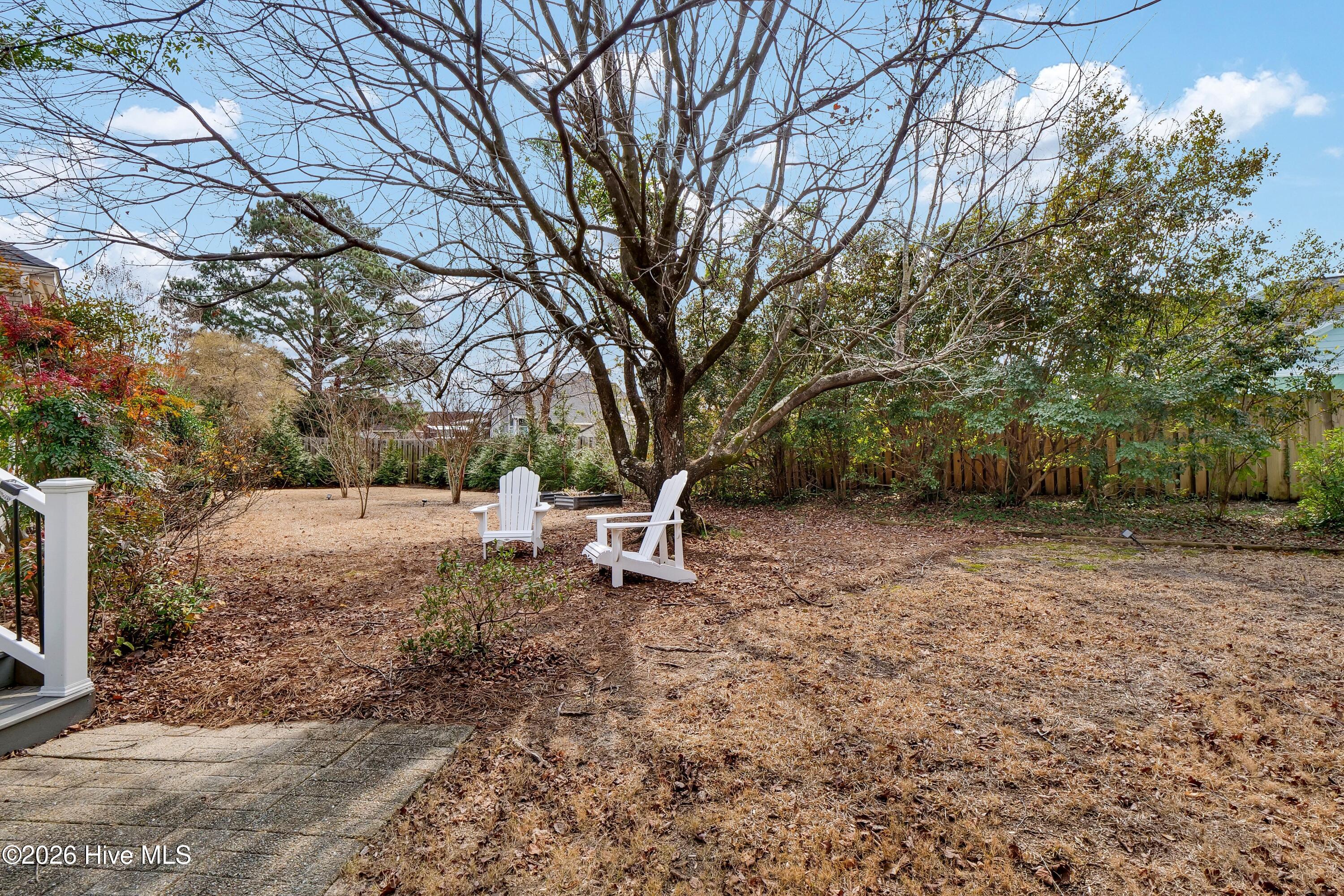 100556431 | Photo 29