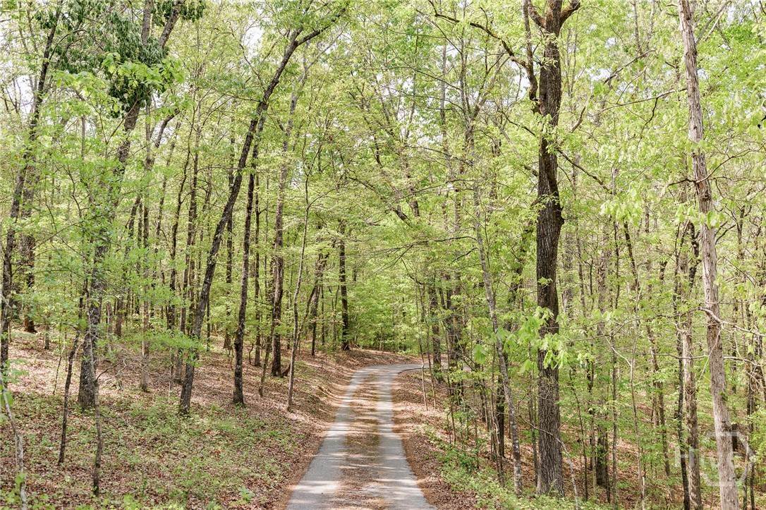 Private driveway. House is hidden from street.
