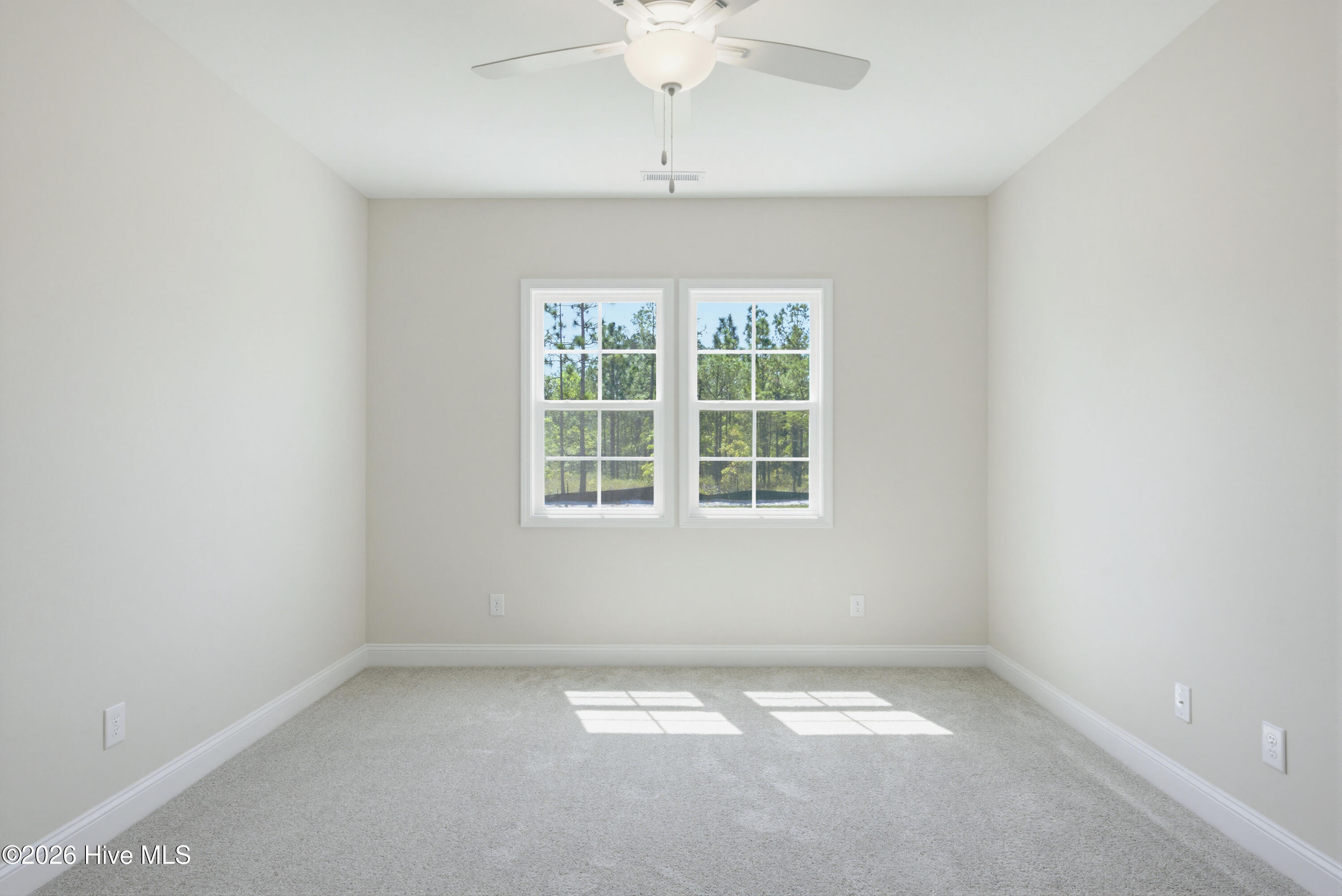 100567408 | Photo 13