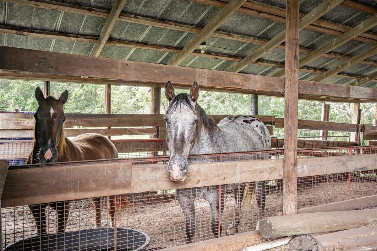 Homes for sale in Louisville, GA | 1341 N Ga Hwy 171, Louisville, GA 30434 | MLS# 546213