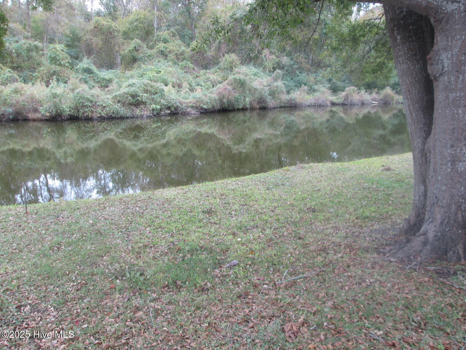 100538700 | Photo 13