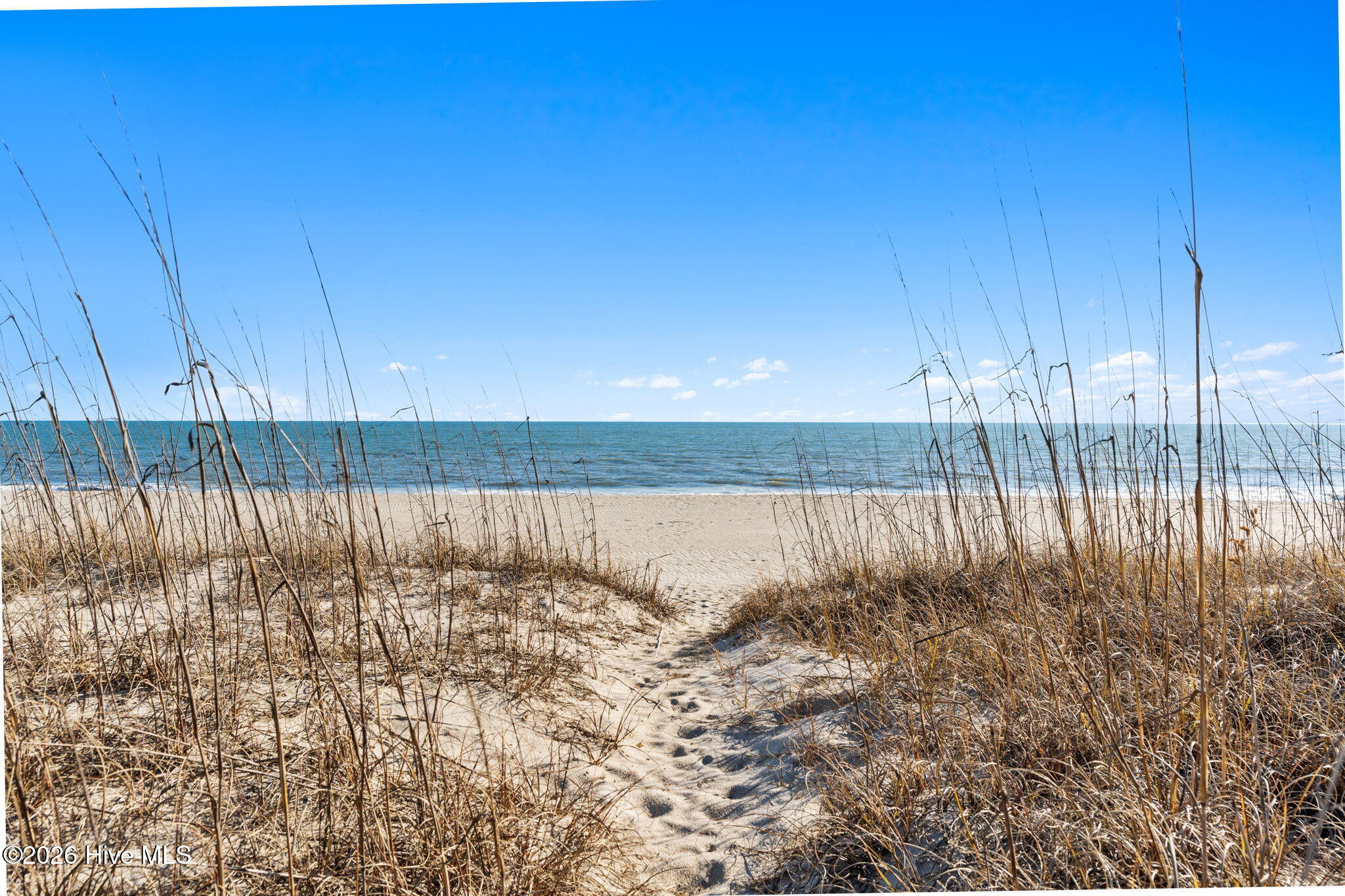 100552493 | Photo 33