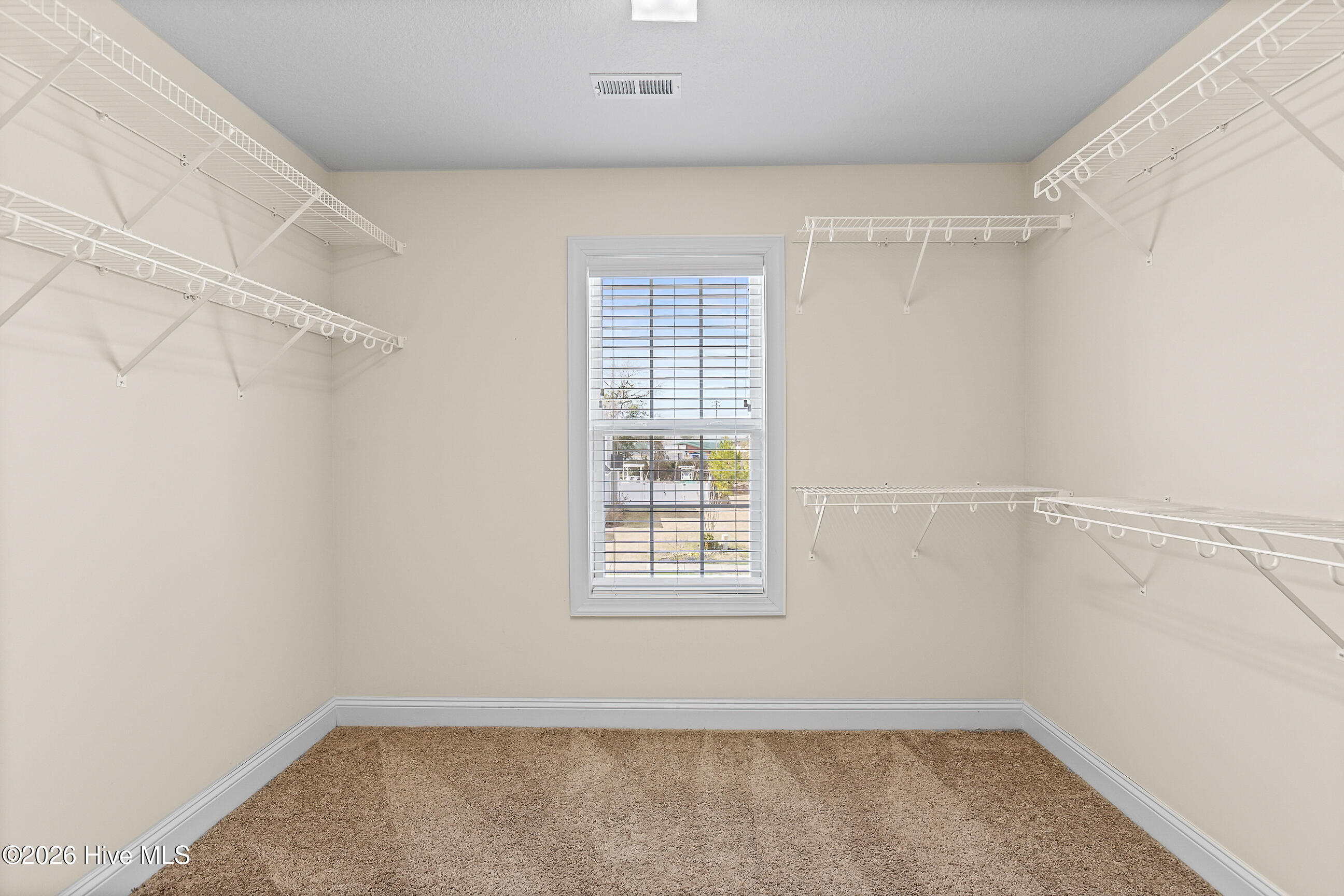 100557533 | Photo 24