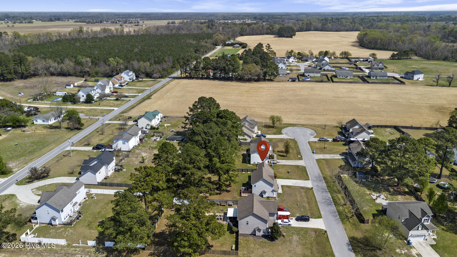 100564296 | Photo 39