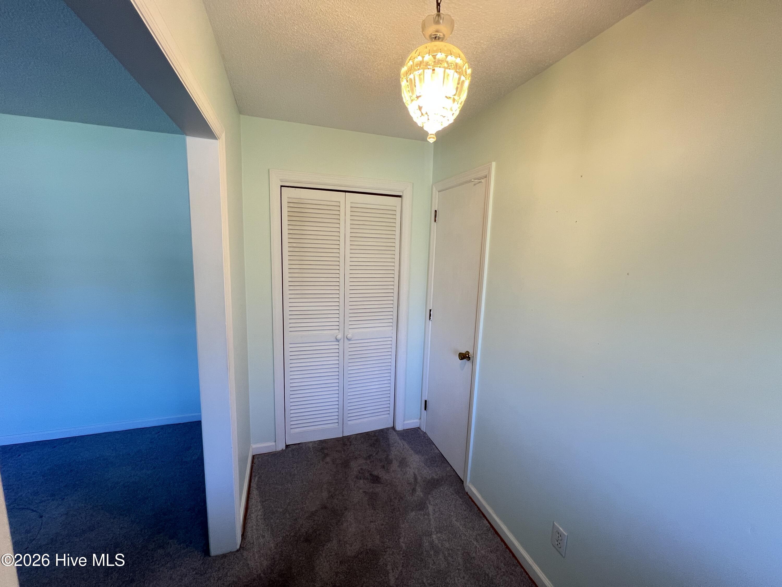 100562608 | Photo 20