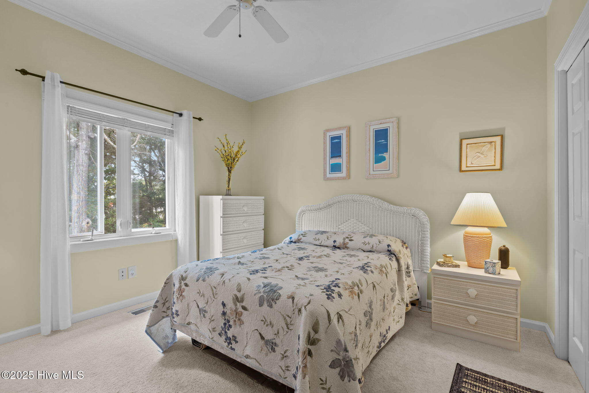 100540385 | Photo 21