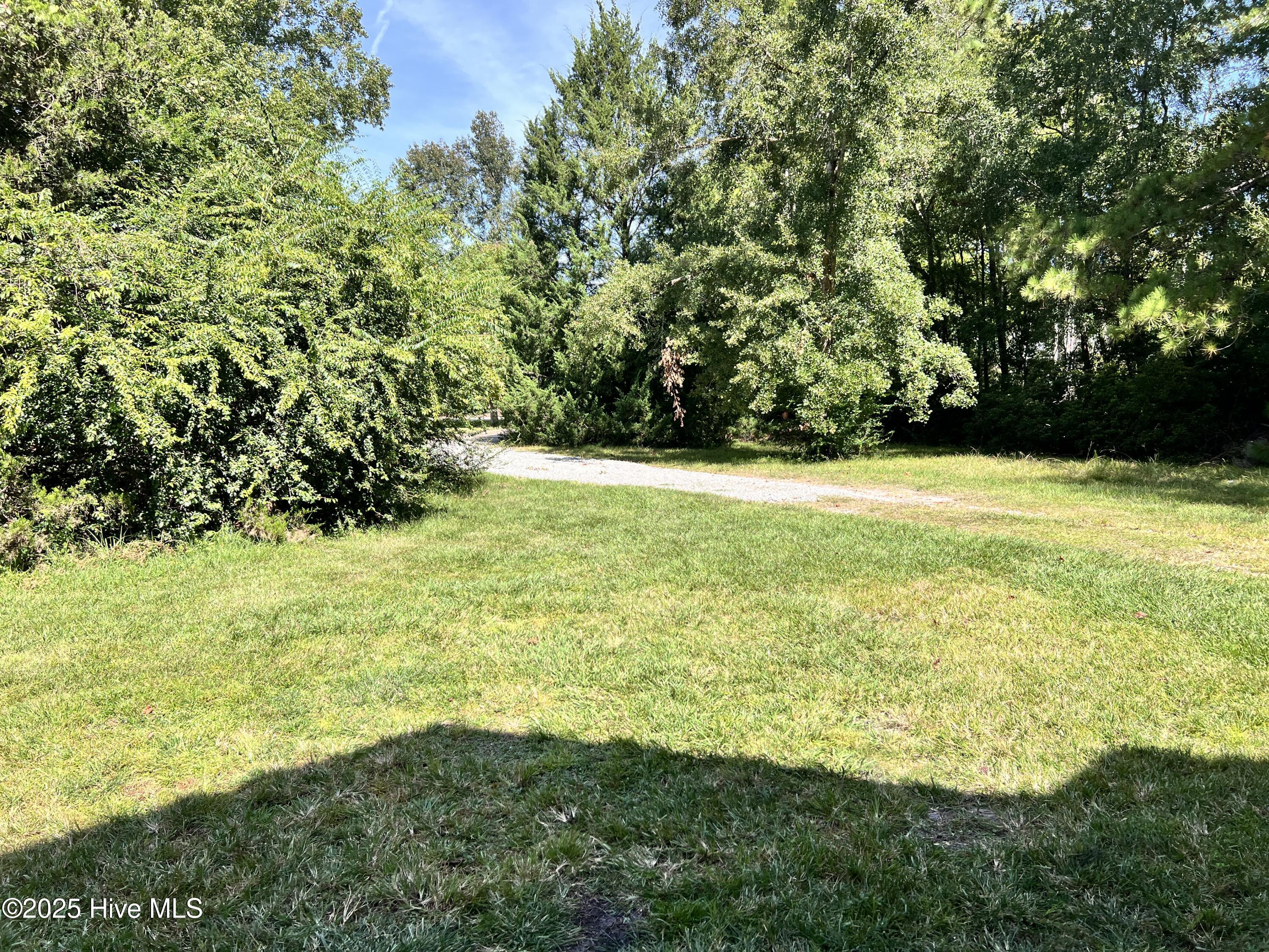 100535017 | Photo 23