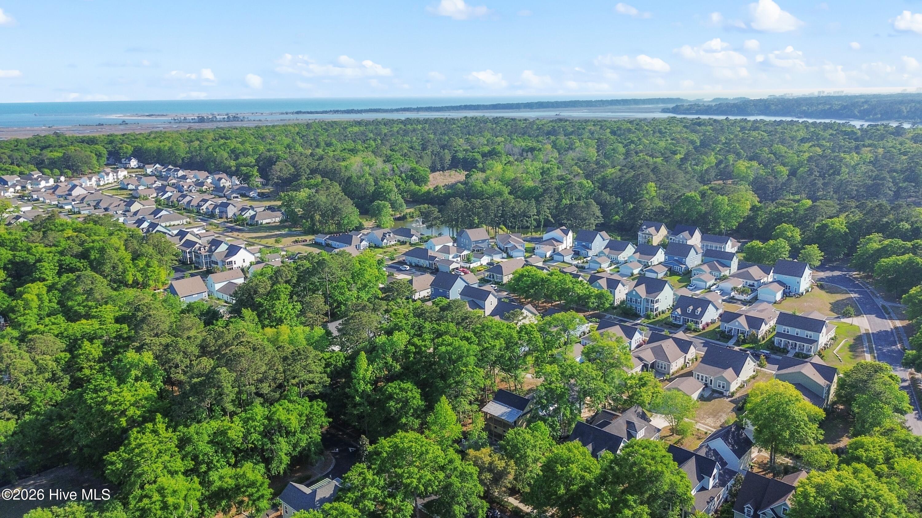 100558704 | Photo 11