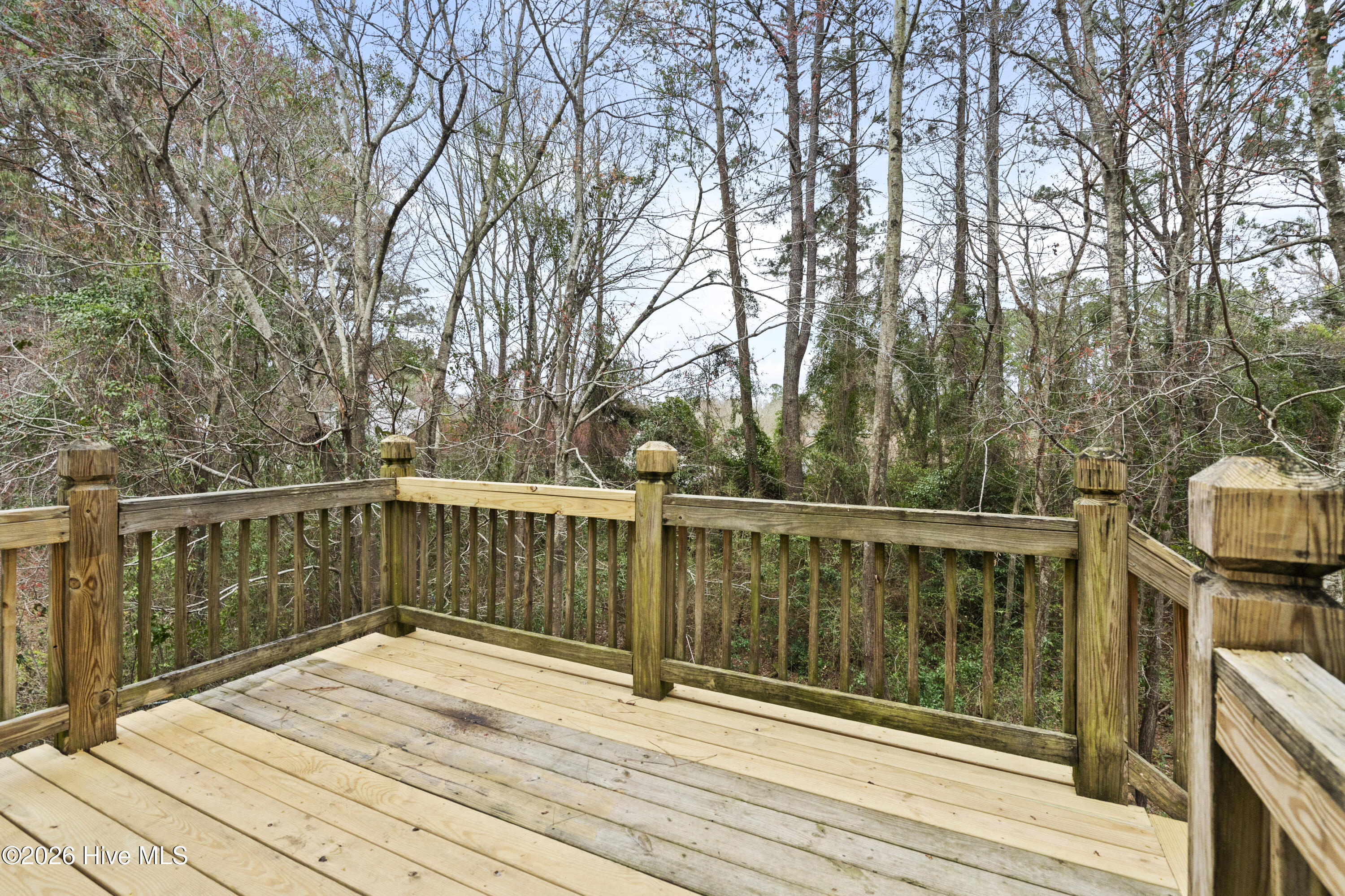 100557847 | Photo 34