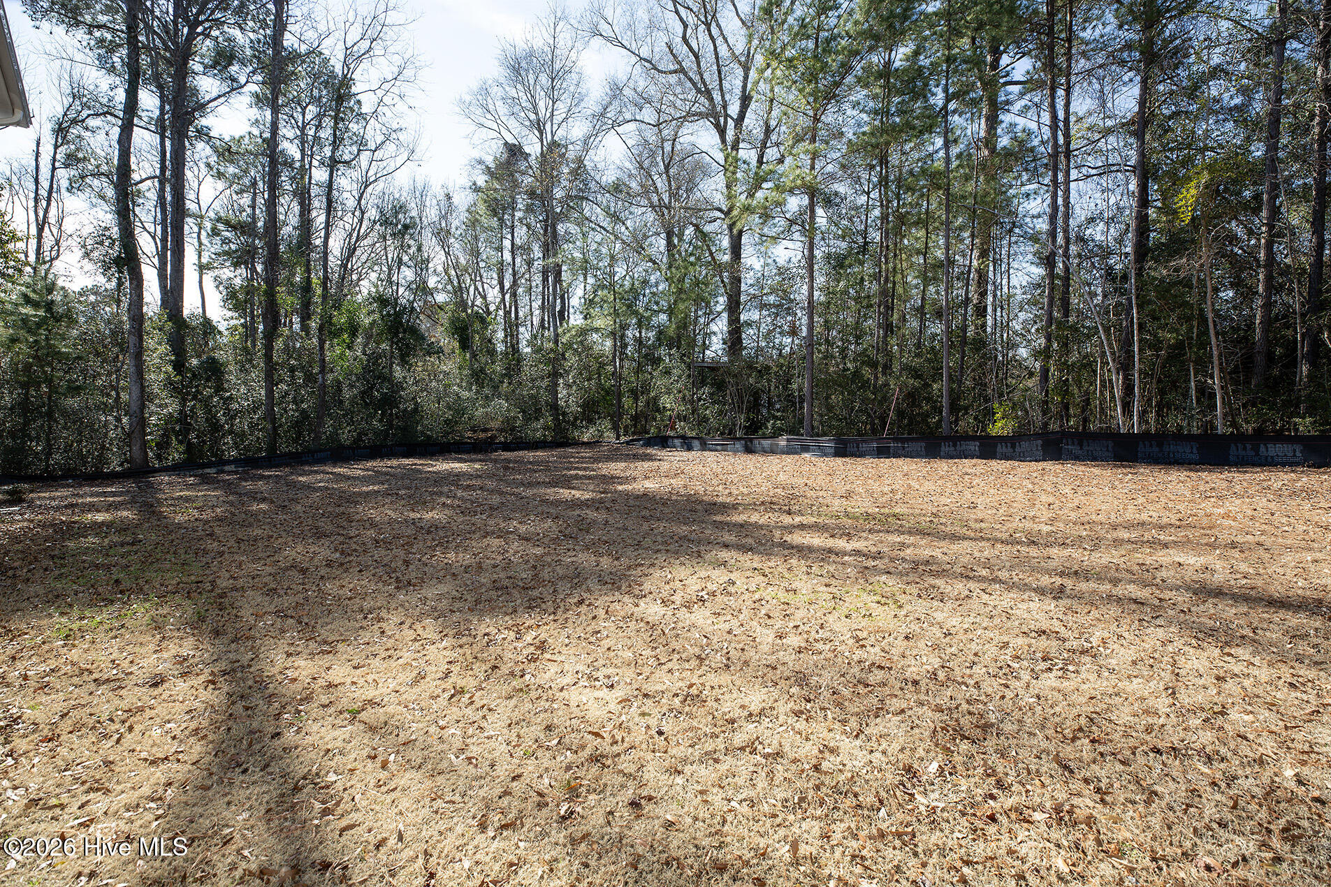 100555900 | Photo 49