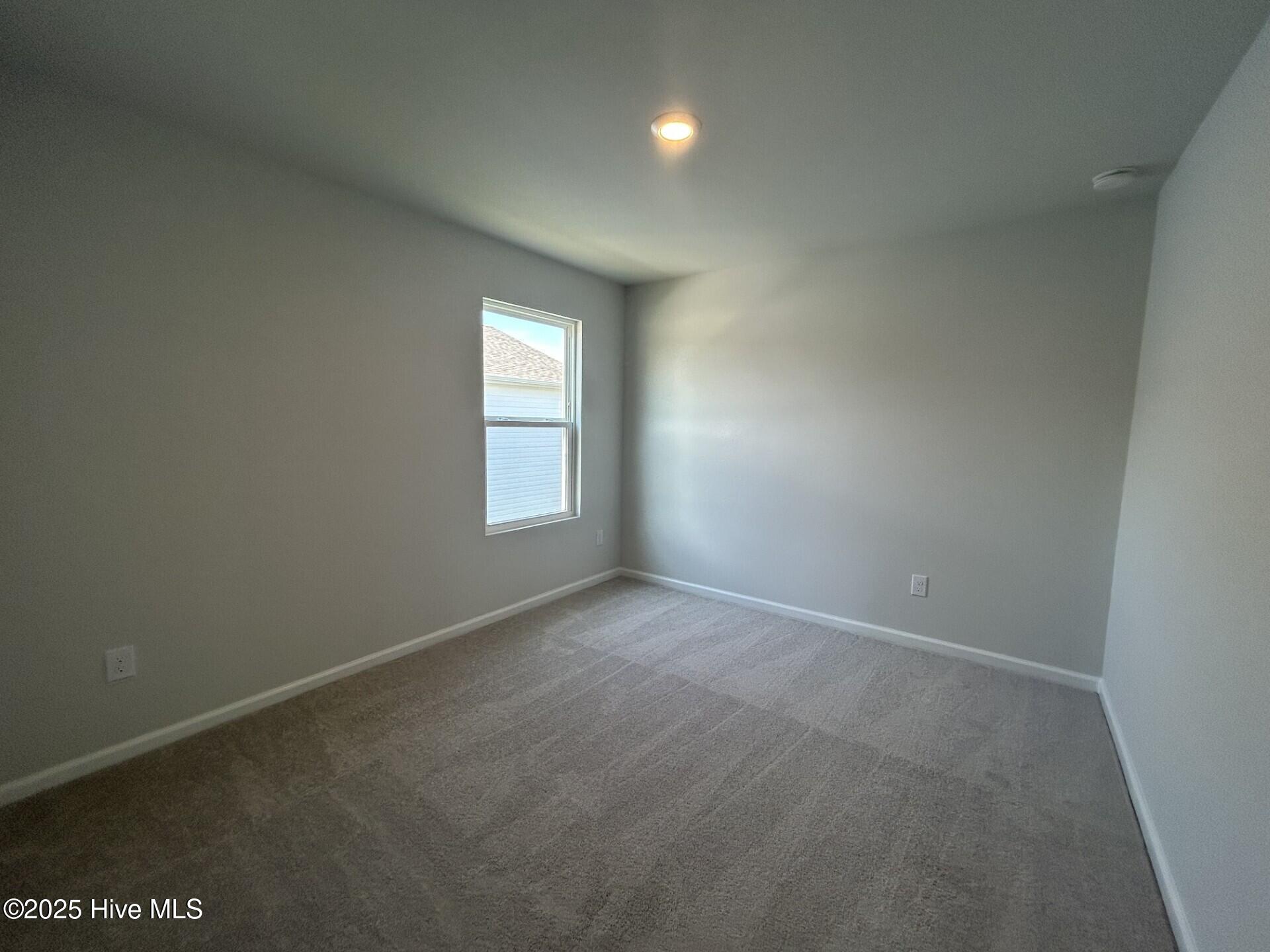 100525039 | Photo 20