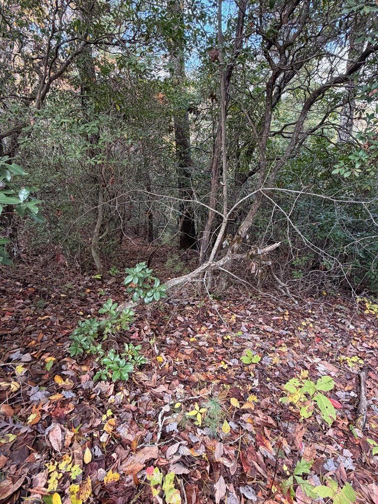 Exterior photo of Lot 26 26 Our Hidden, Murphy, NC 28906. MLS: 98525094