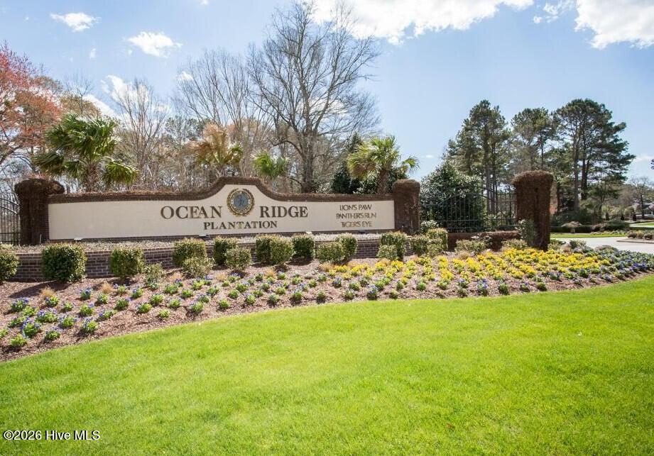 100566129 | Photo 49