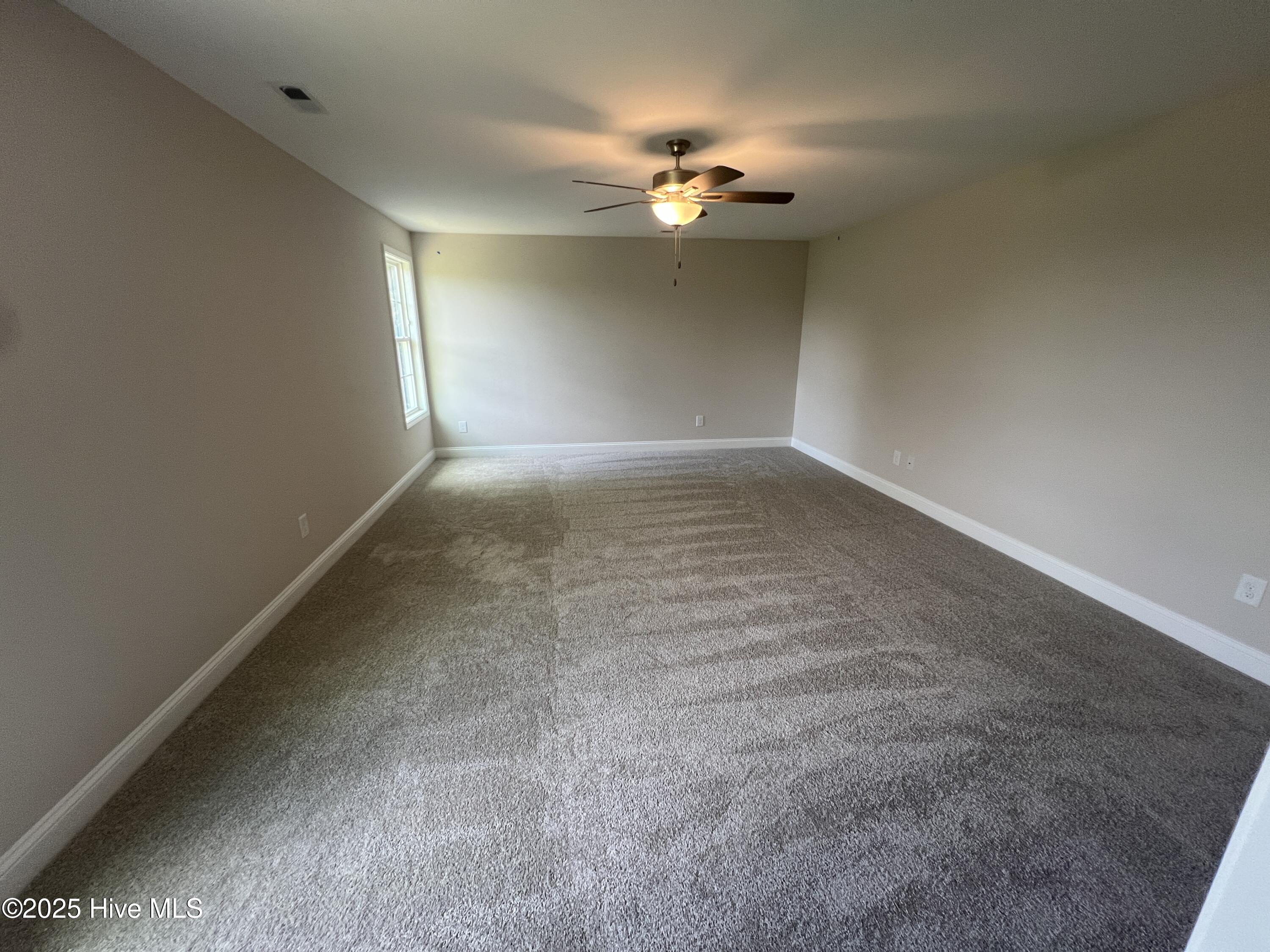 100505781 | Photo 19