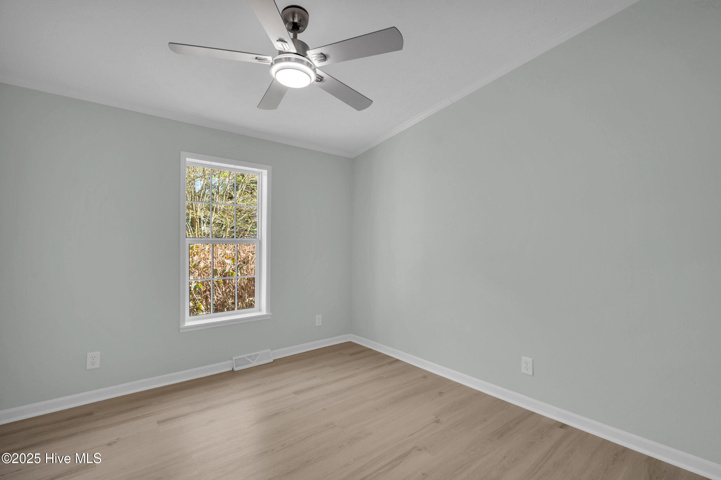 100537277 | Photo 29