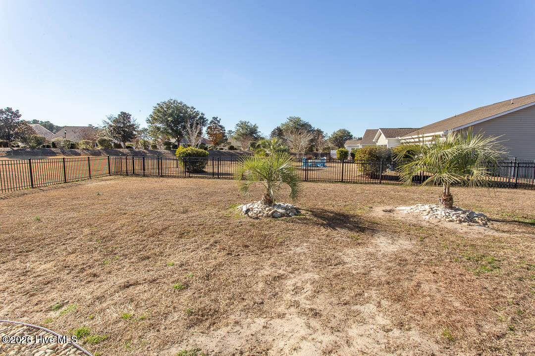 100554987 | Photo 38