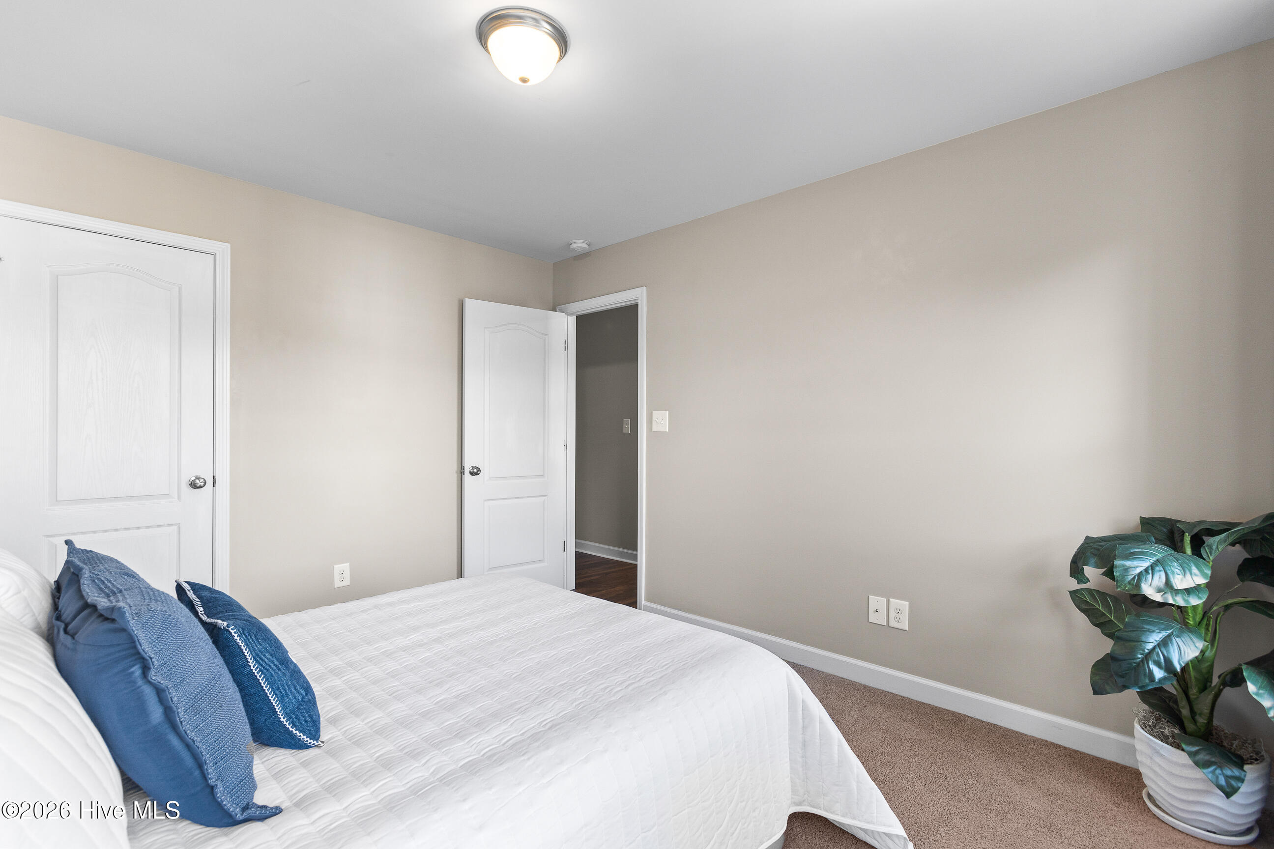 100567364 | Photo 25