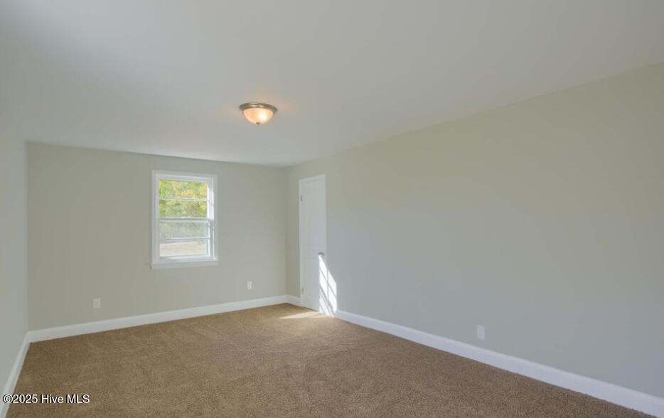 100540000 | Photo 10