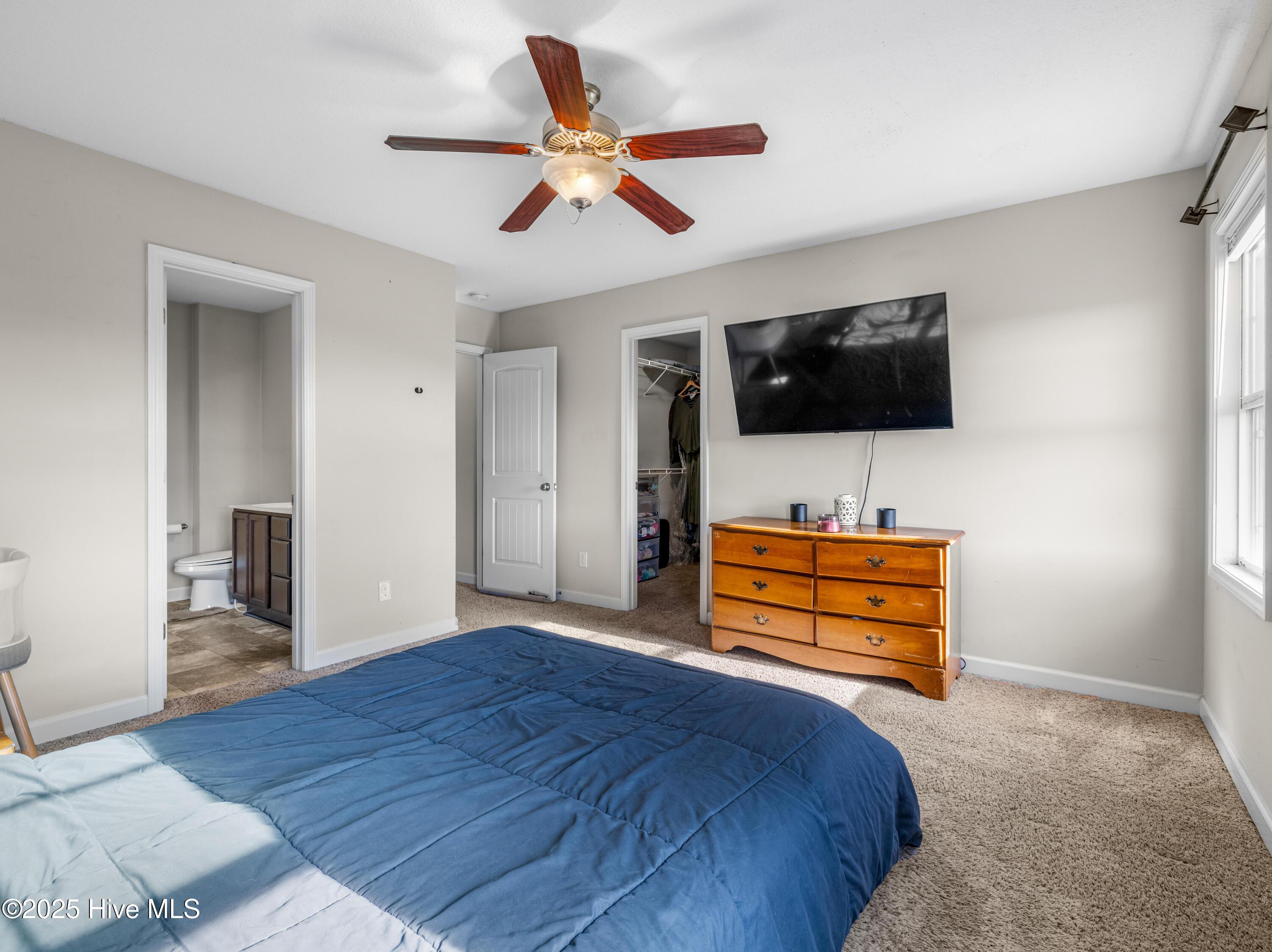 100538122 | Photo 28