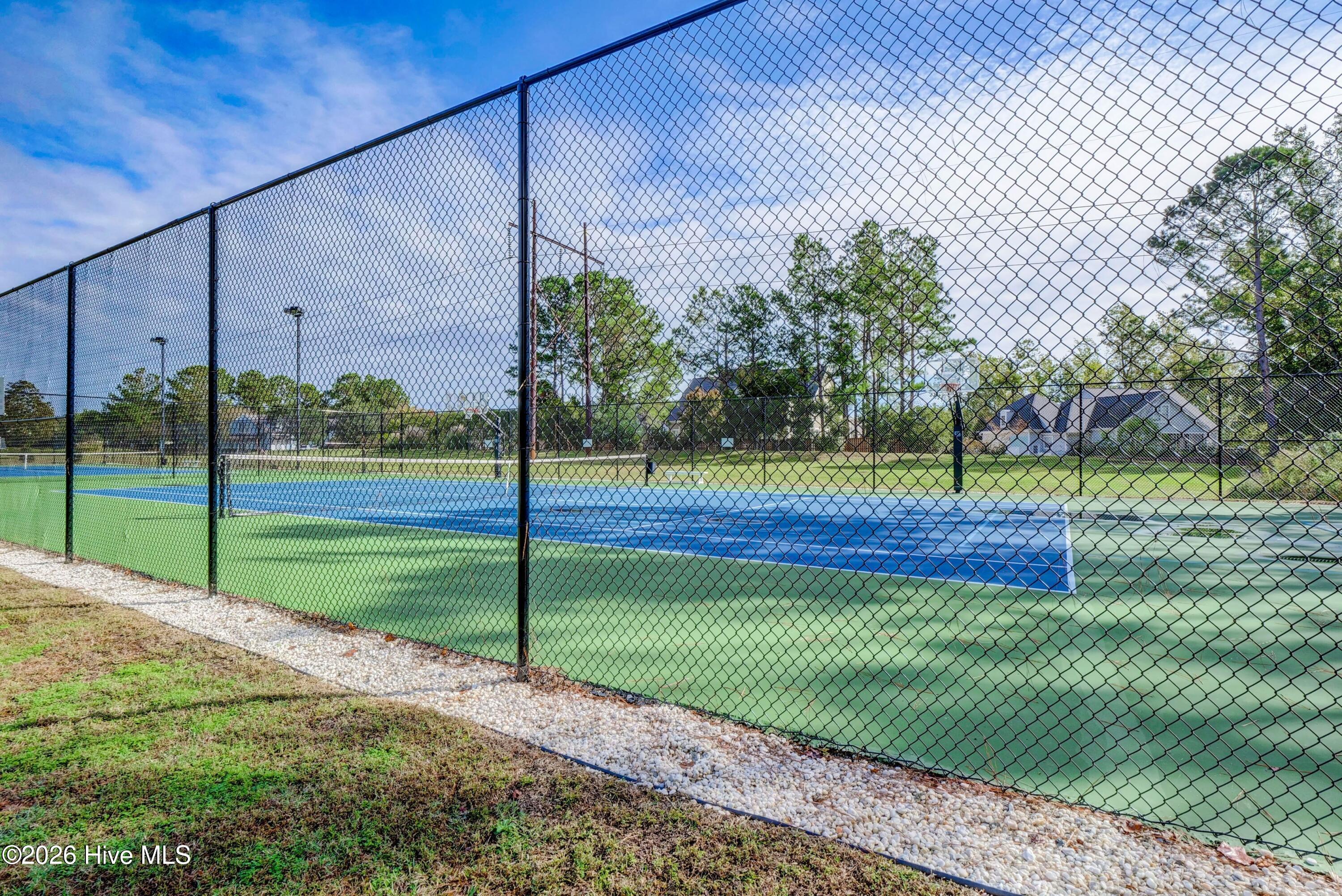 100556431 | Photo 37