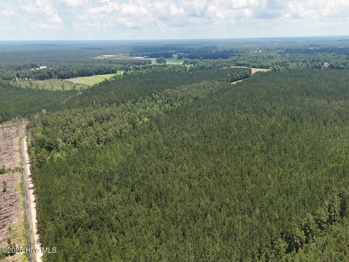 100513588 | Photo 18