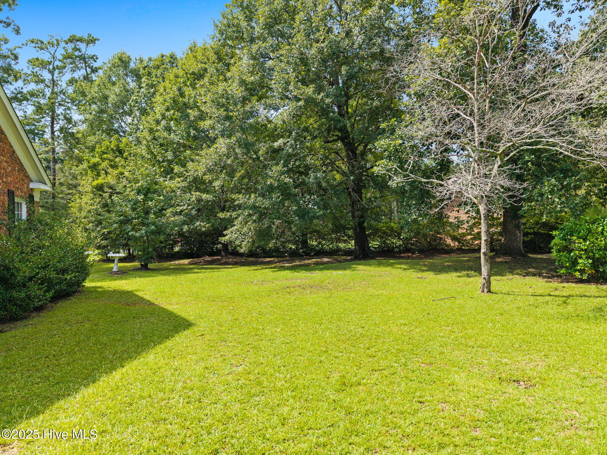 100526462 | Photo 77