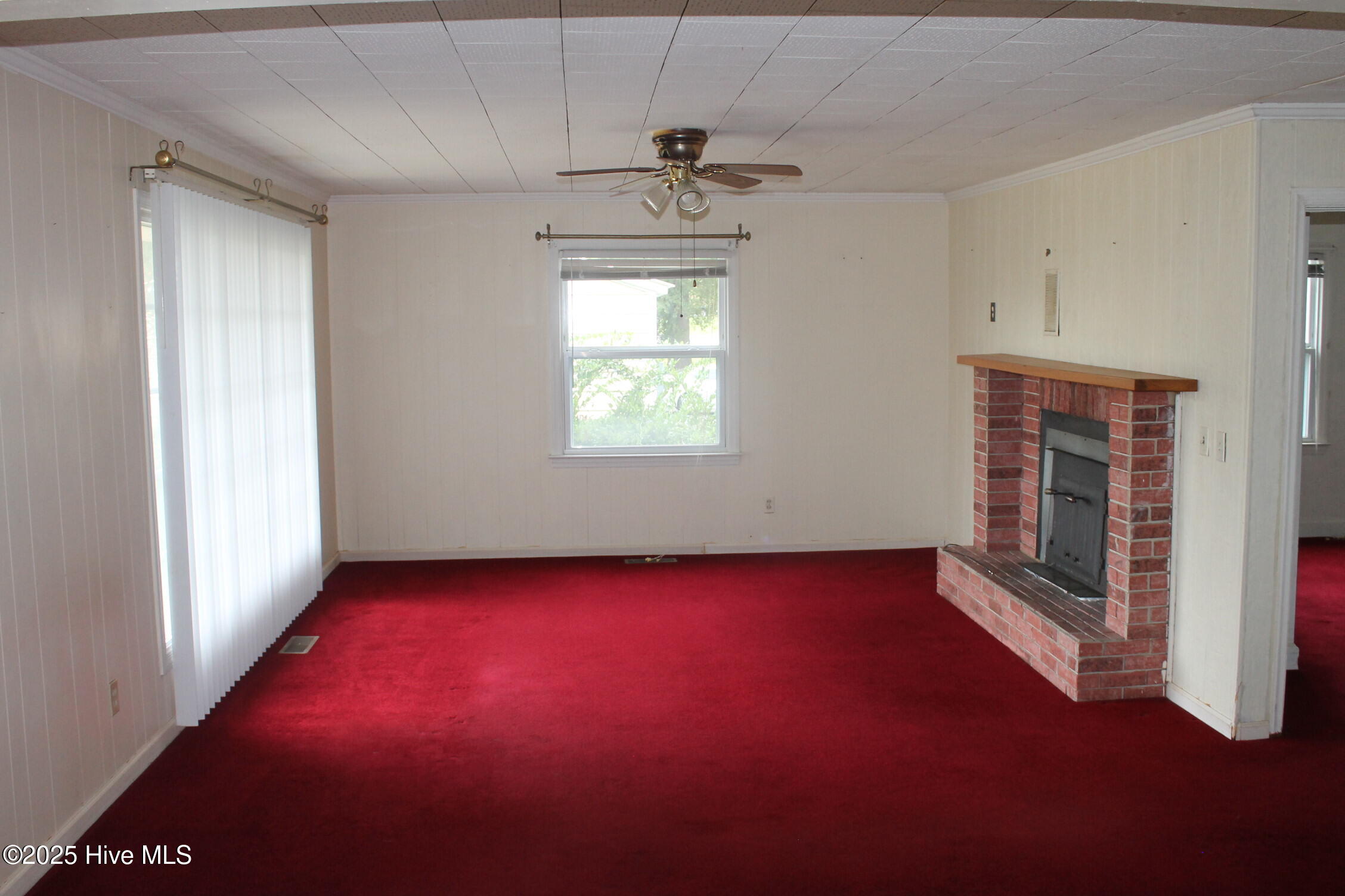 100535737 | Photo 10