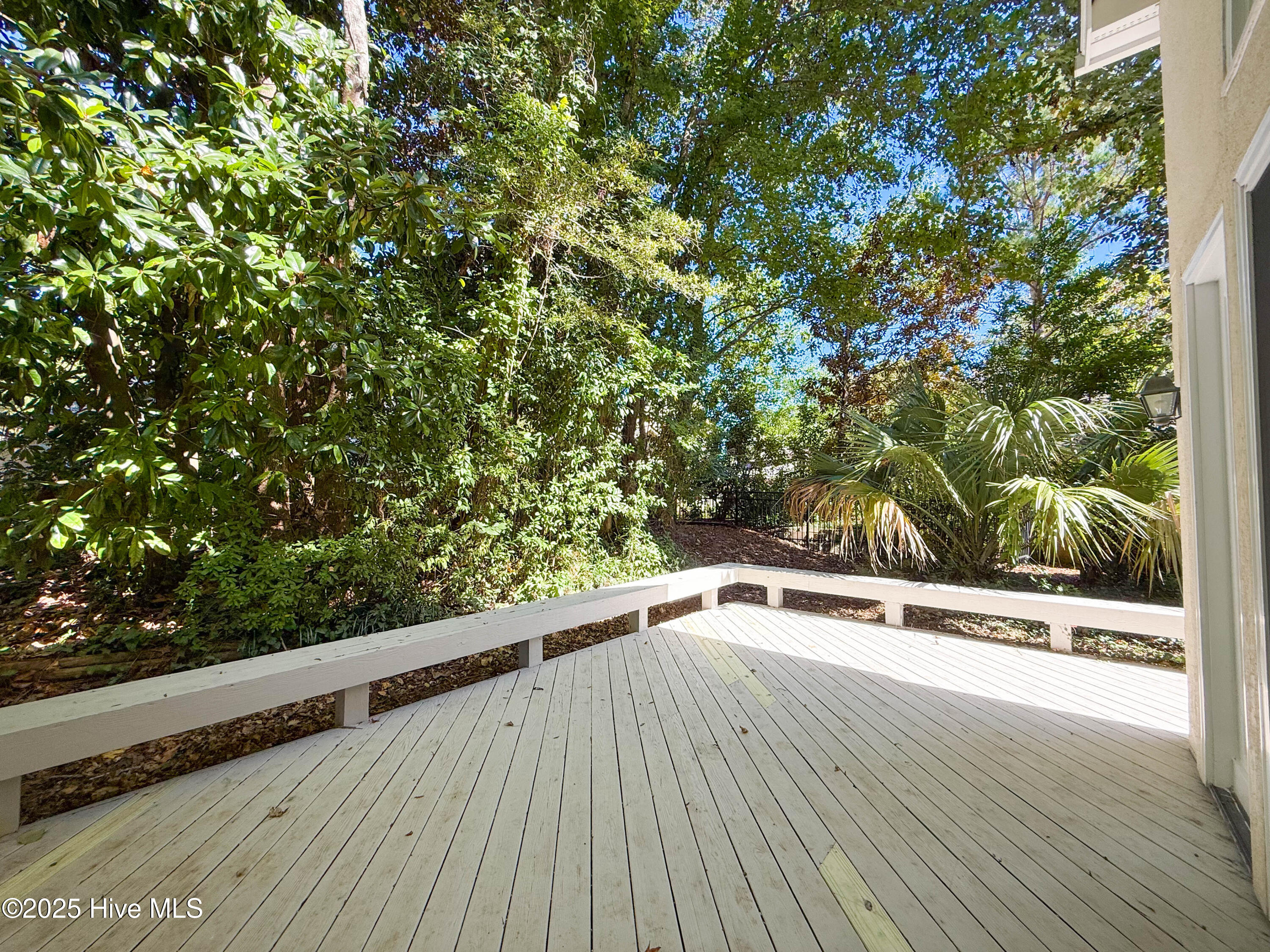 100535071 | Photo 16