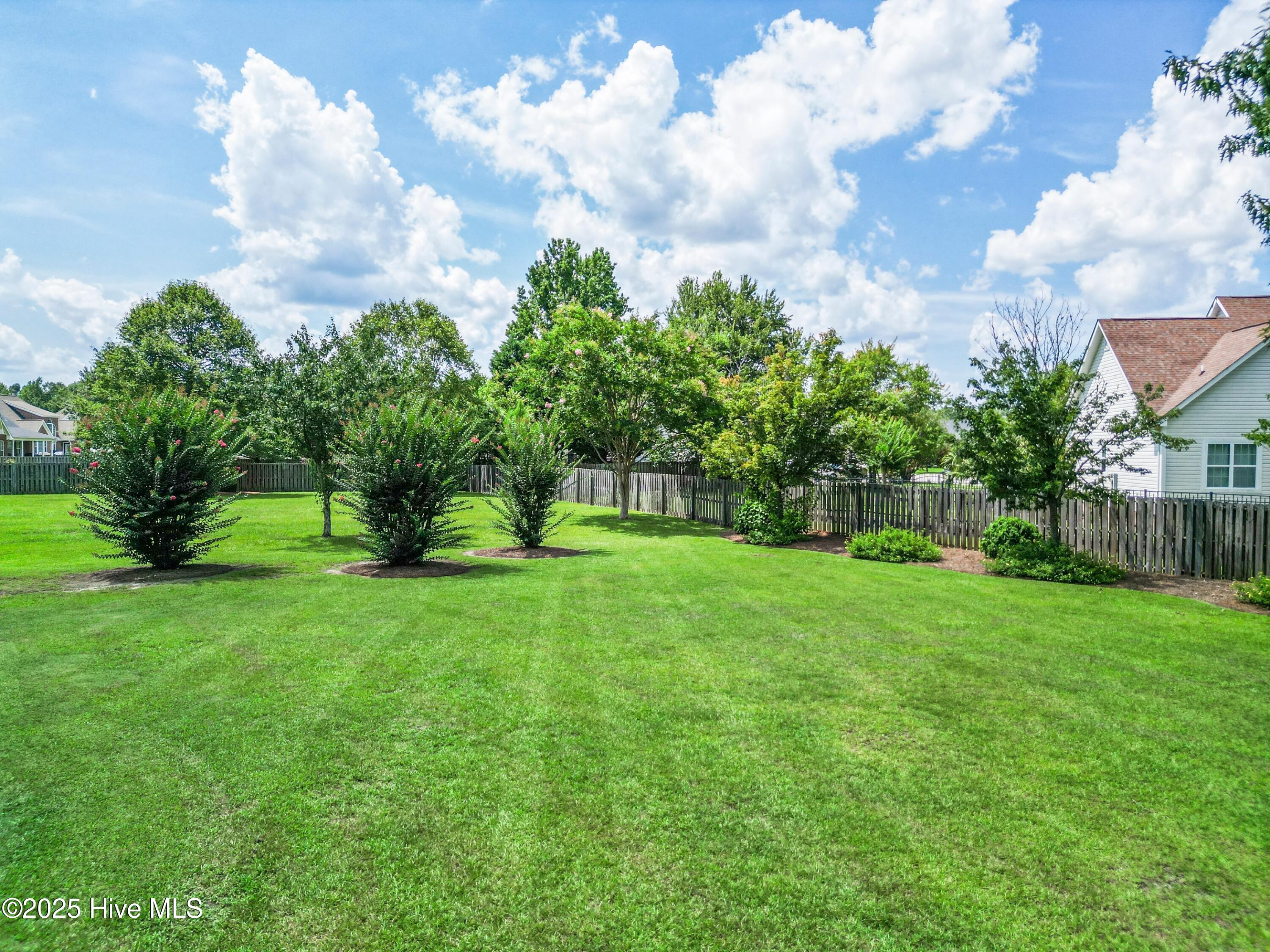 100518438 | Photo 68