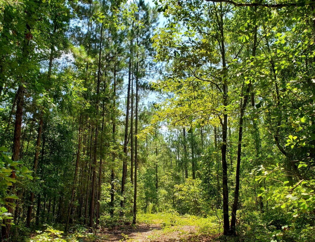 Property at 1027 Grindstone Creek Road