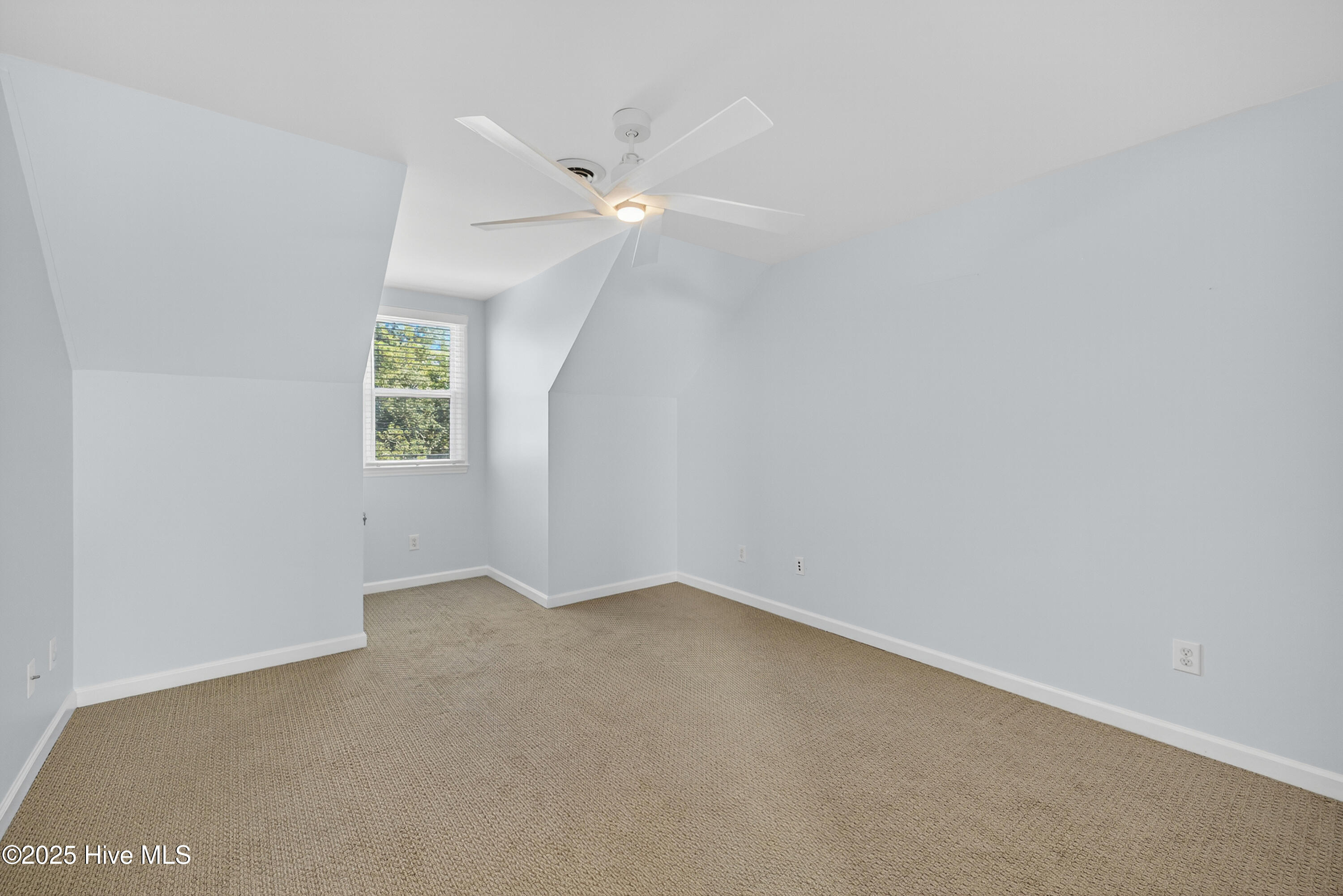 100539038 | Photo 57