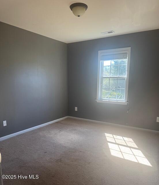 308 Big Tree Lane, Chinquapin, NC 28521 – photo 10: IMG_0568 (1)