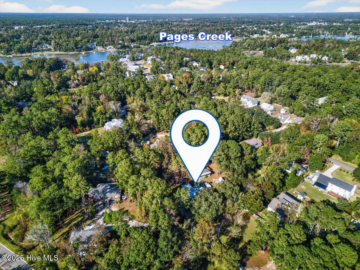 100539192 | Photo 34