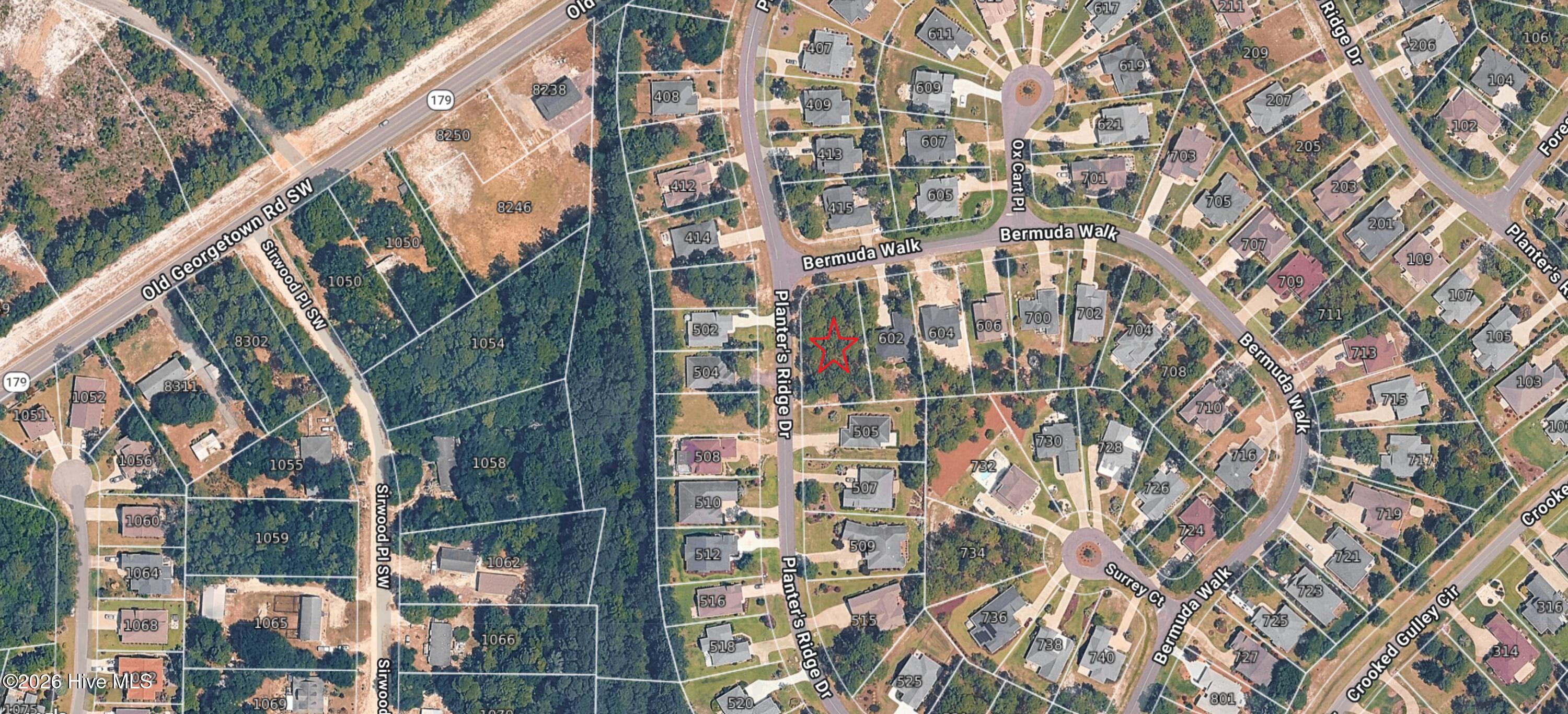 100559665 | Photo 39