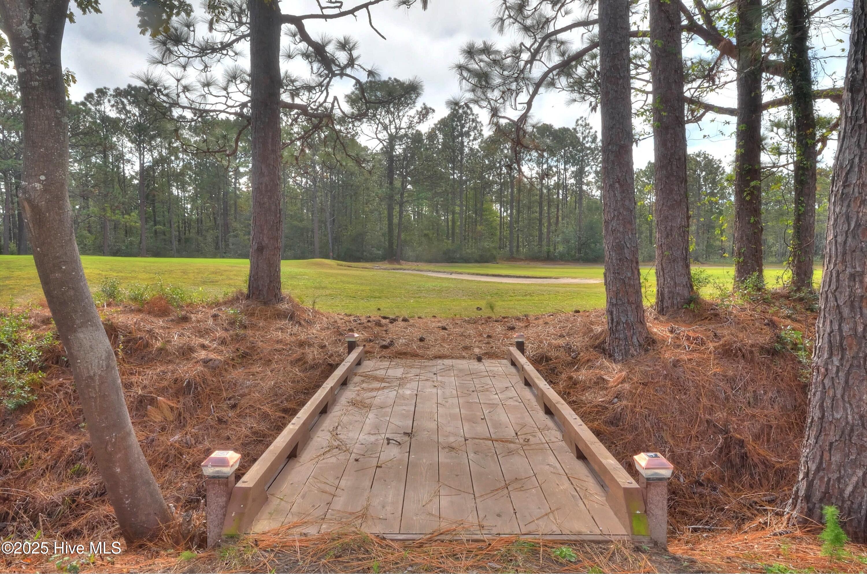 100517847 | Photo 35