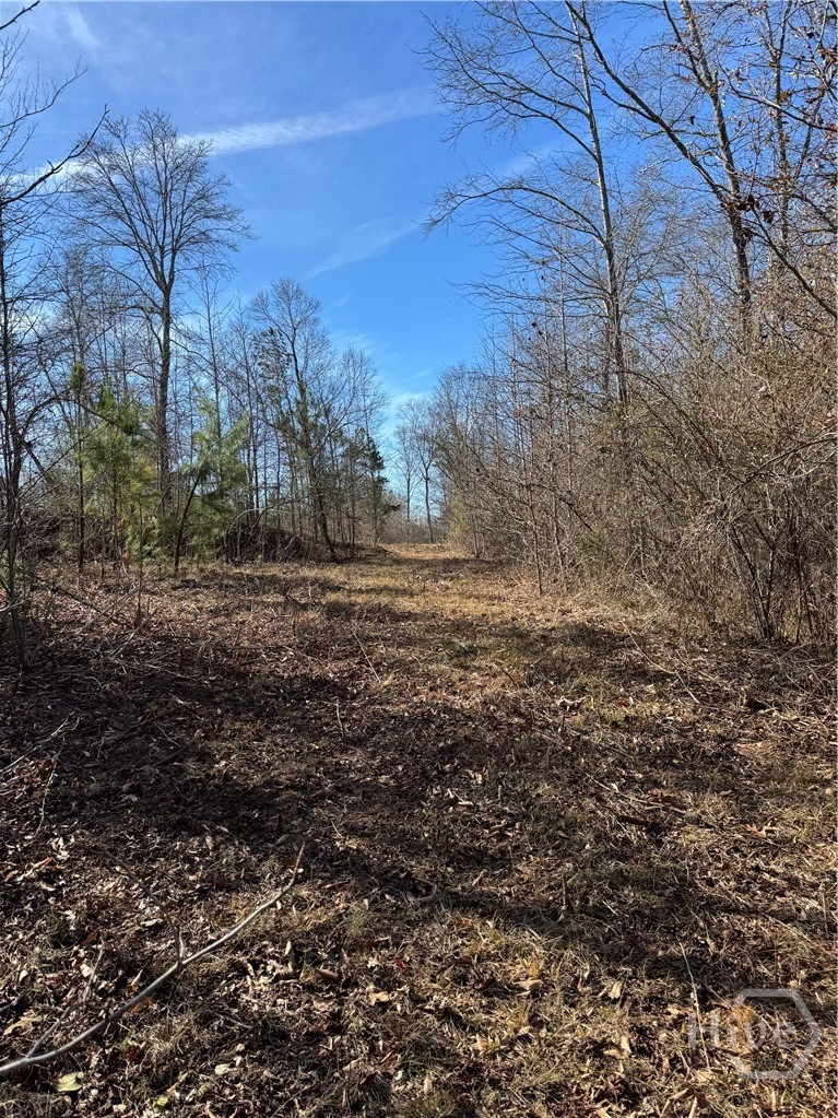 738 Old Mineral Springs Road, Elberton, GA, 30635