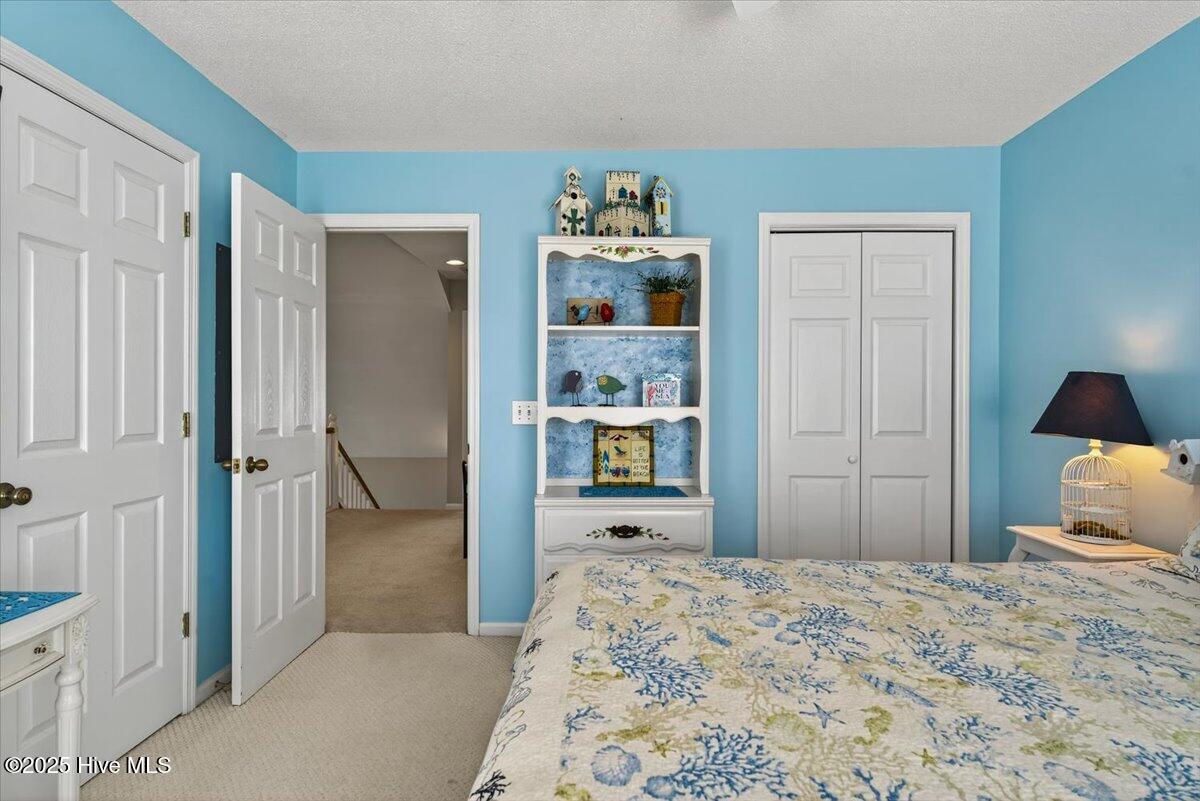 100523553 | Photo 20