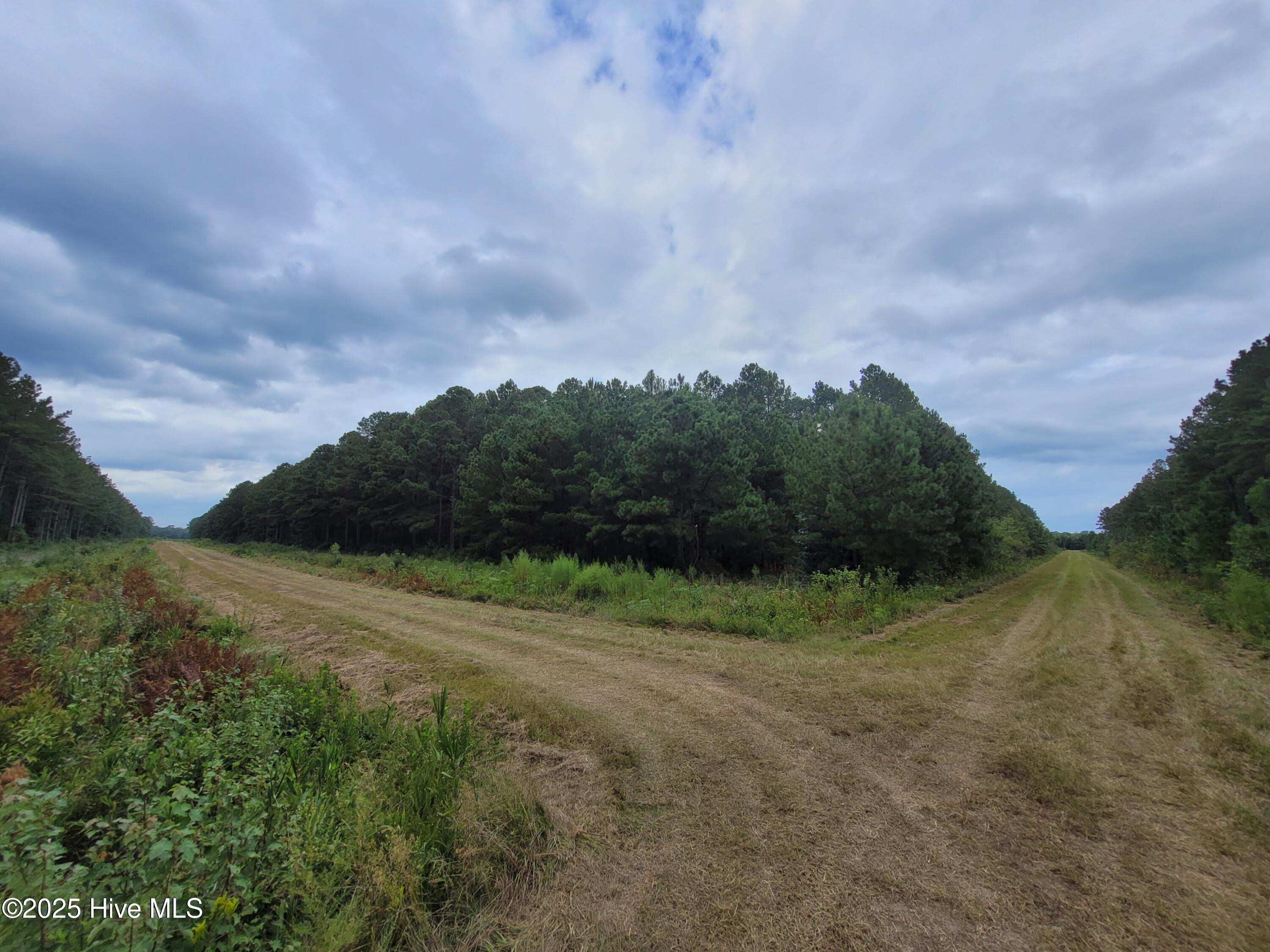 8) 63172-68cd8060806a4