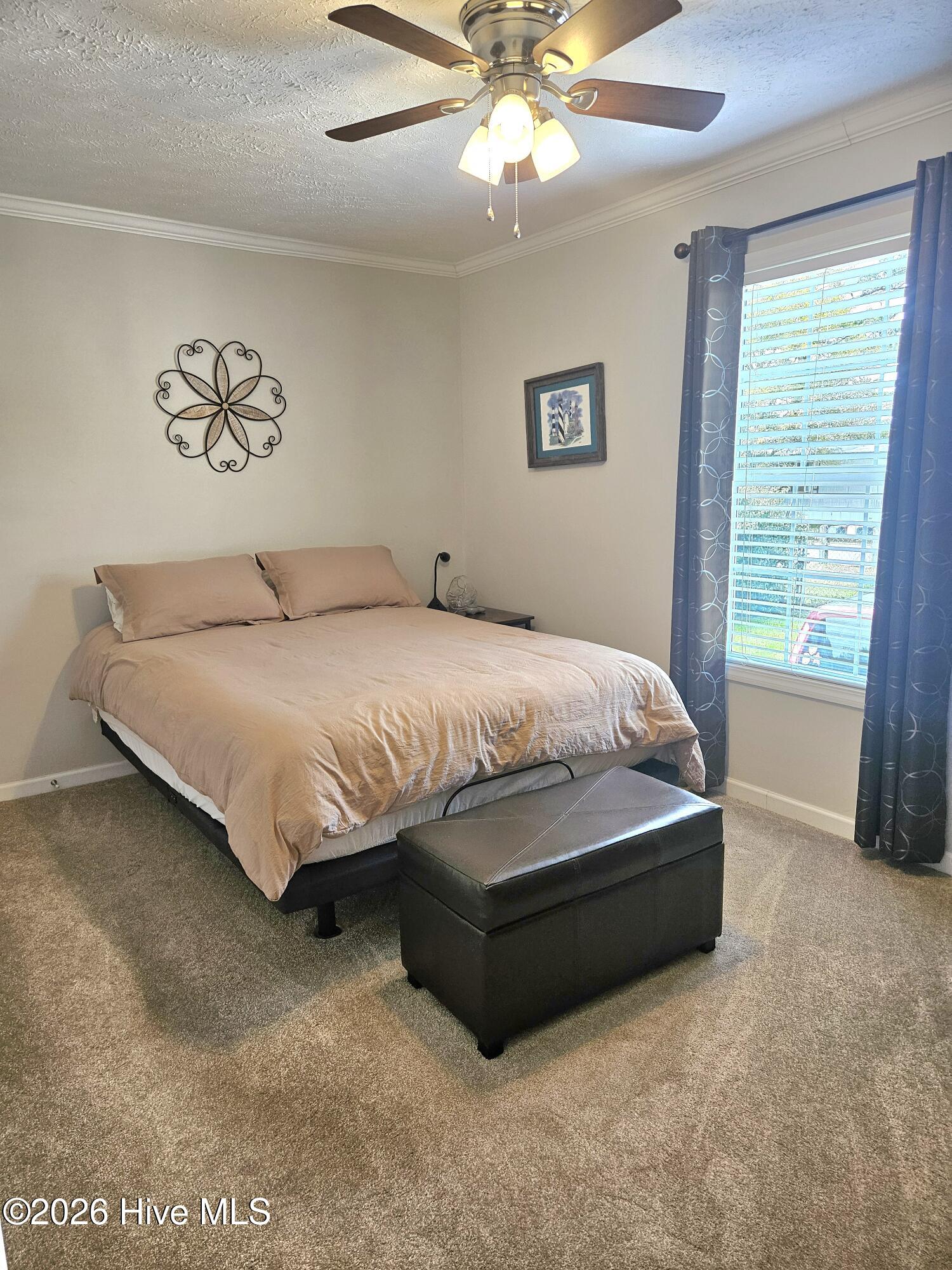 217 Dorcas Drive,Newport