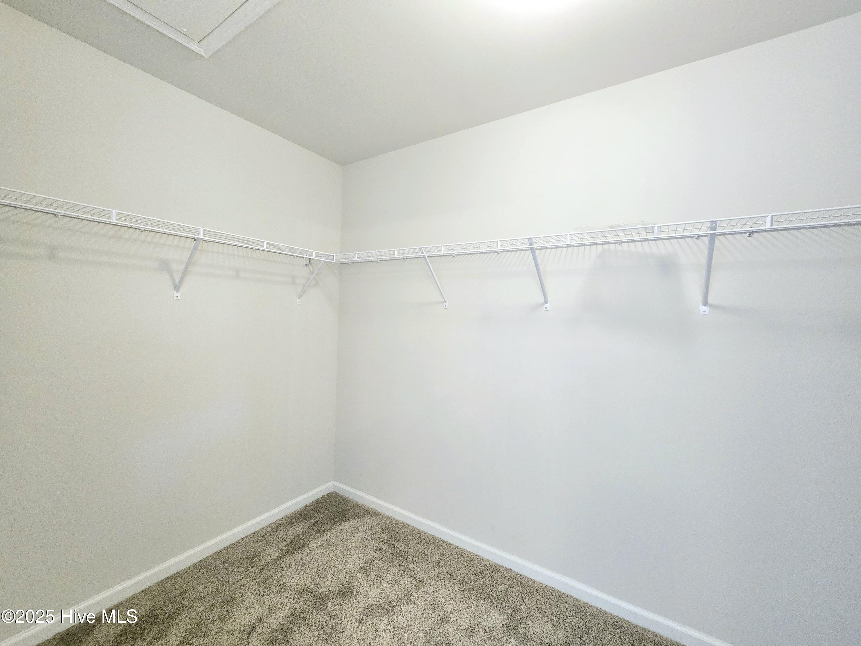 100549173 | Photo 10