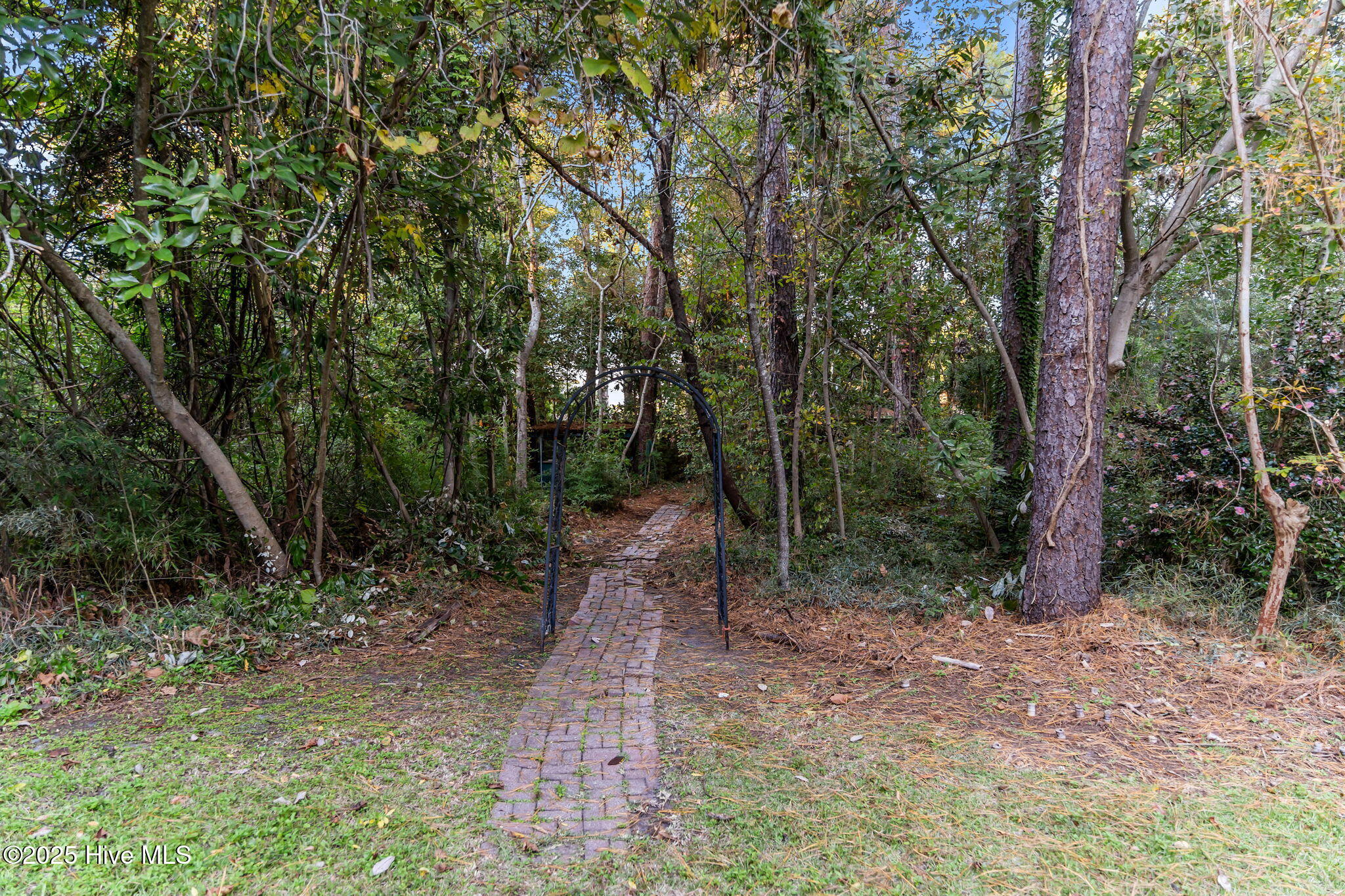 100540294 | Photo 44