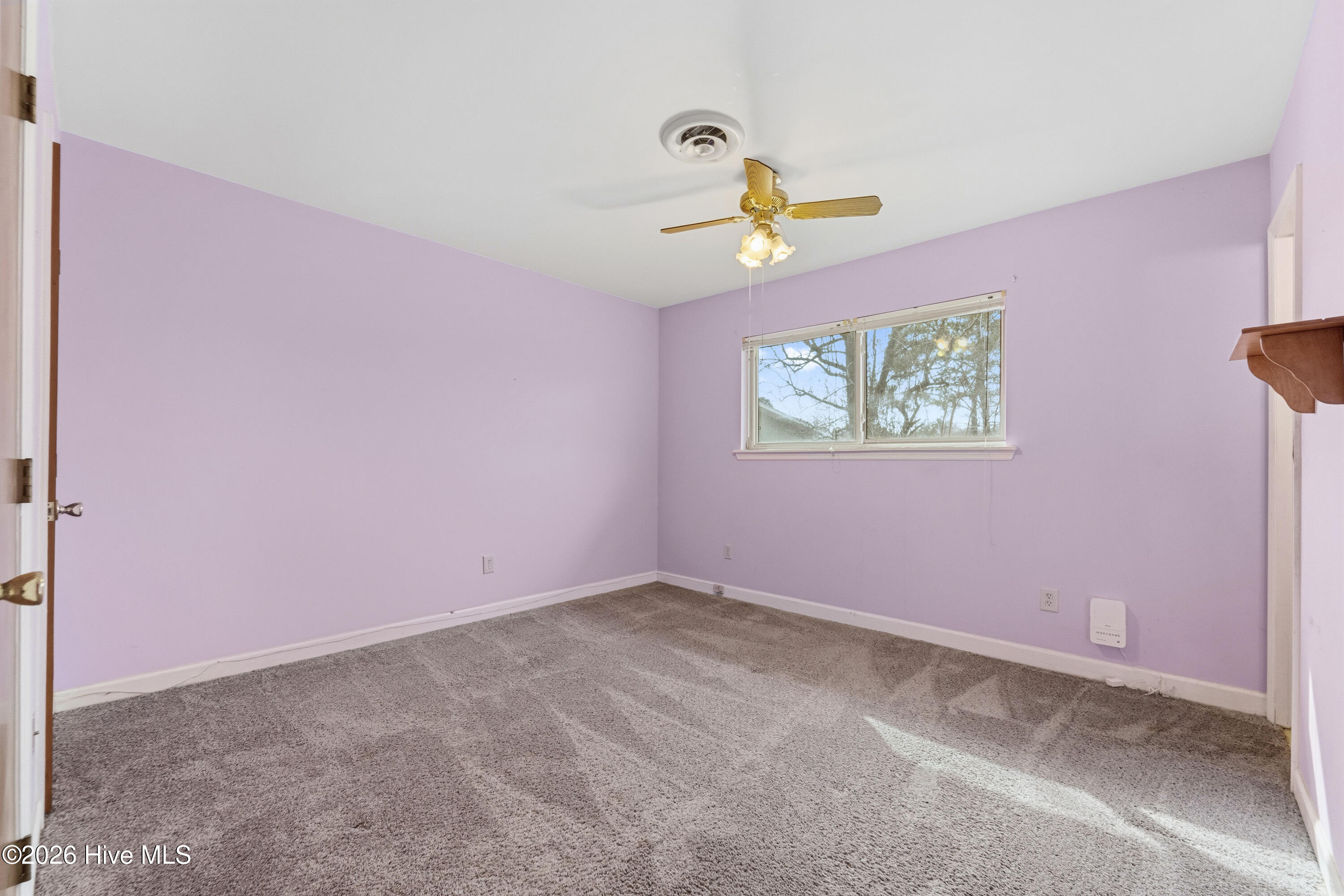 100556367 | Photo 34