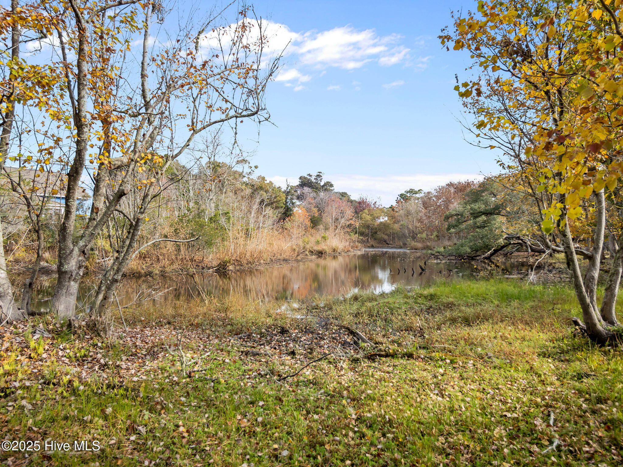 100555260 | Photo 70